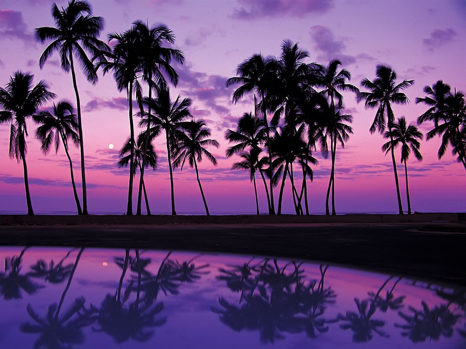 Free download Wallpaper tropics sunset USA reflection Oahu palm