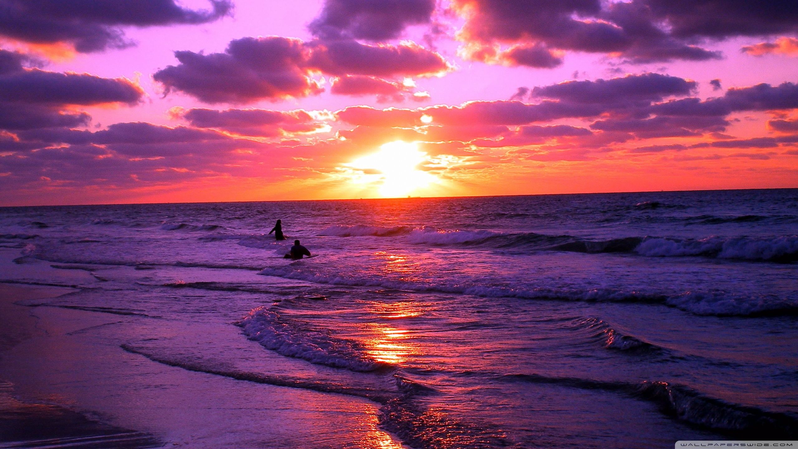 Beach Sunset HD