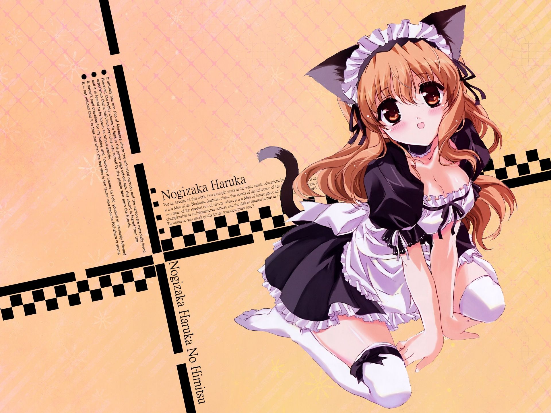 animal ears blush catgirl maid nogizaka haruka nogizaka haruka no