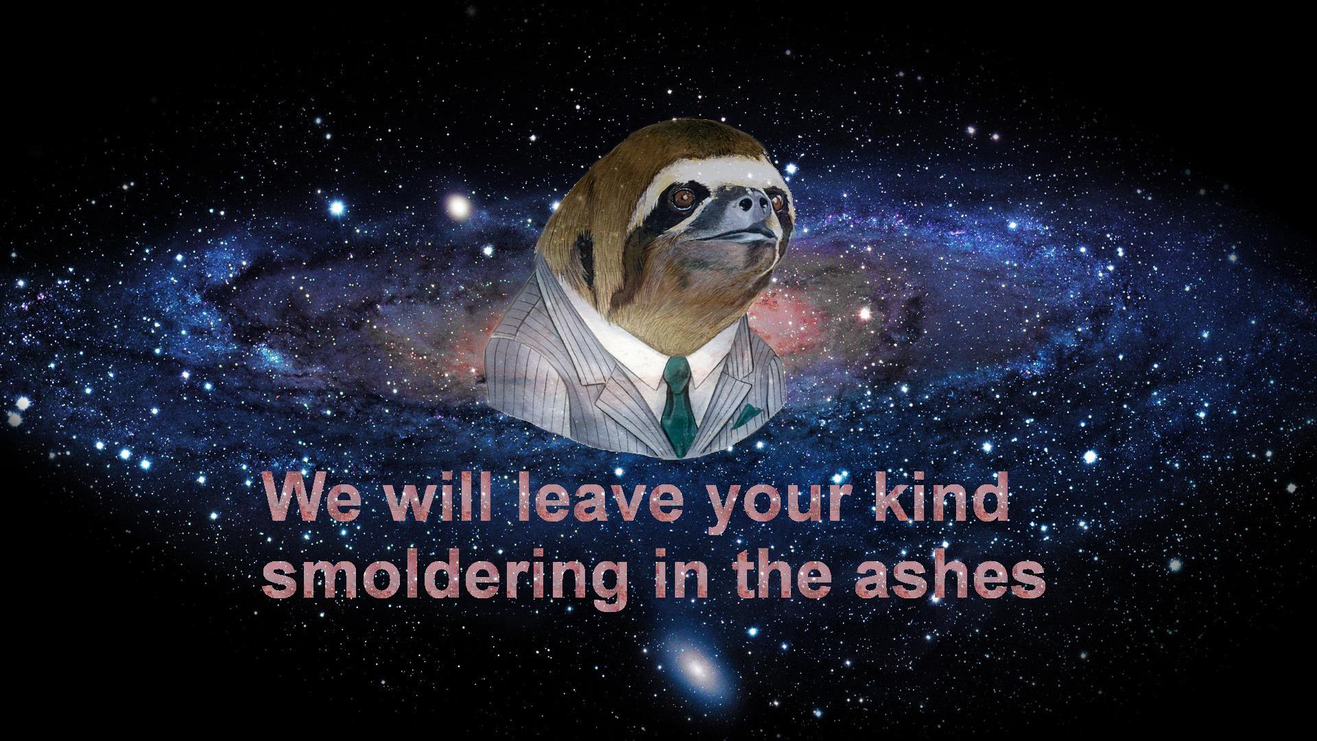 Free download sloth wallpaper 3 Sloths Know Your Meme 1920x1080
