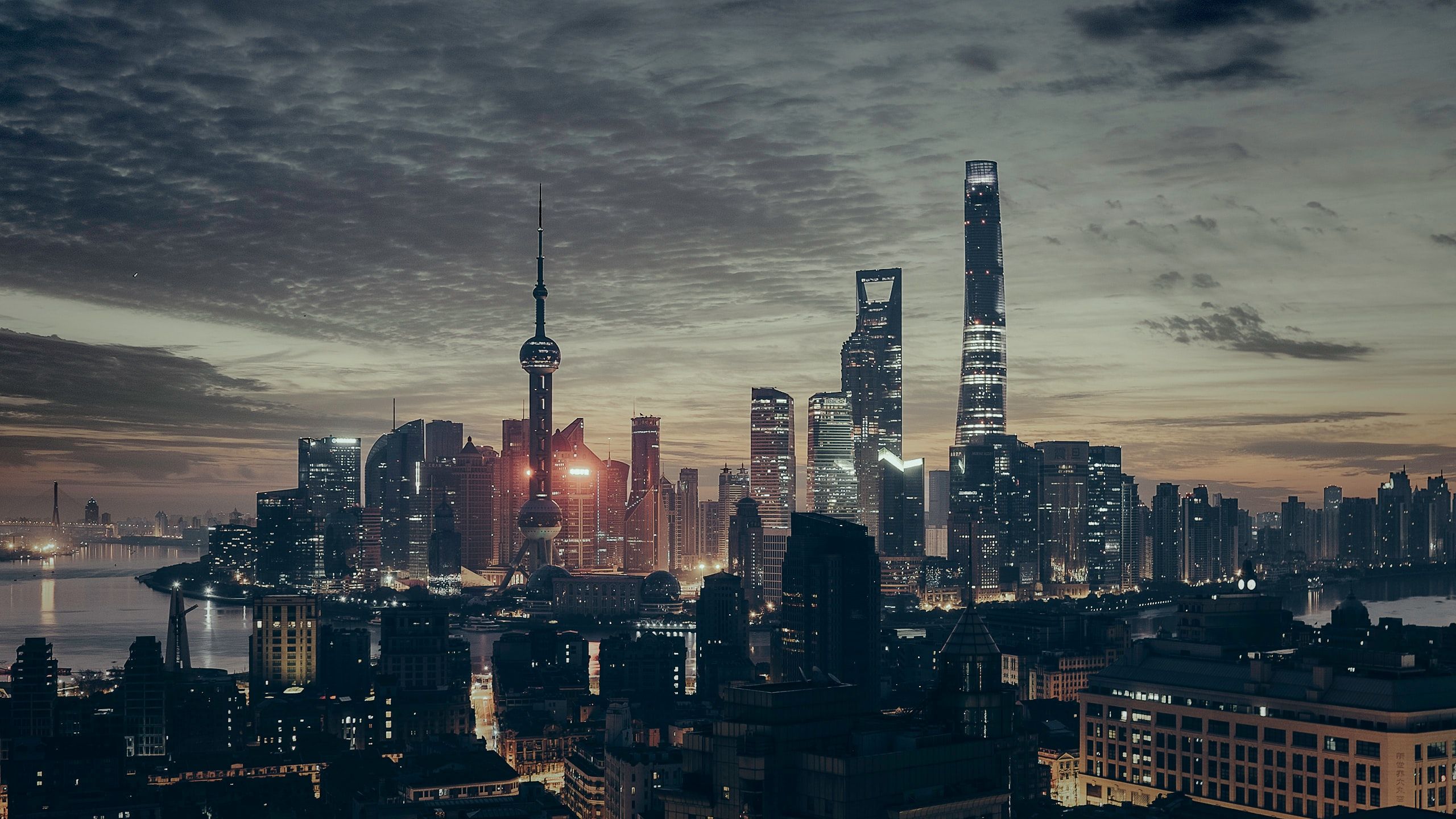 Shanghai tower in night time photo