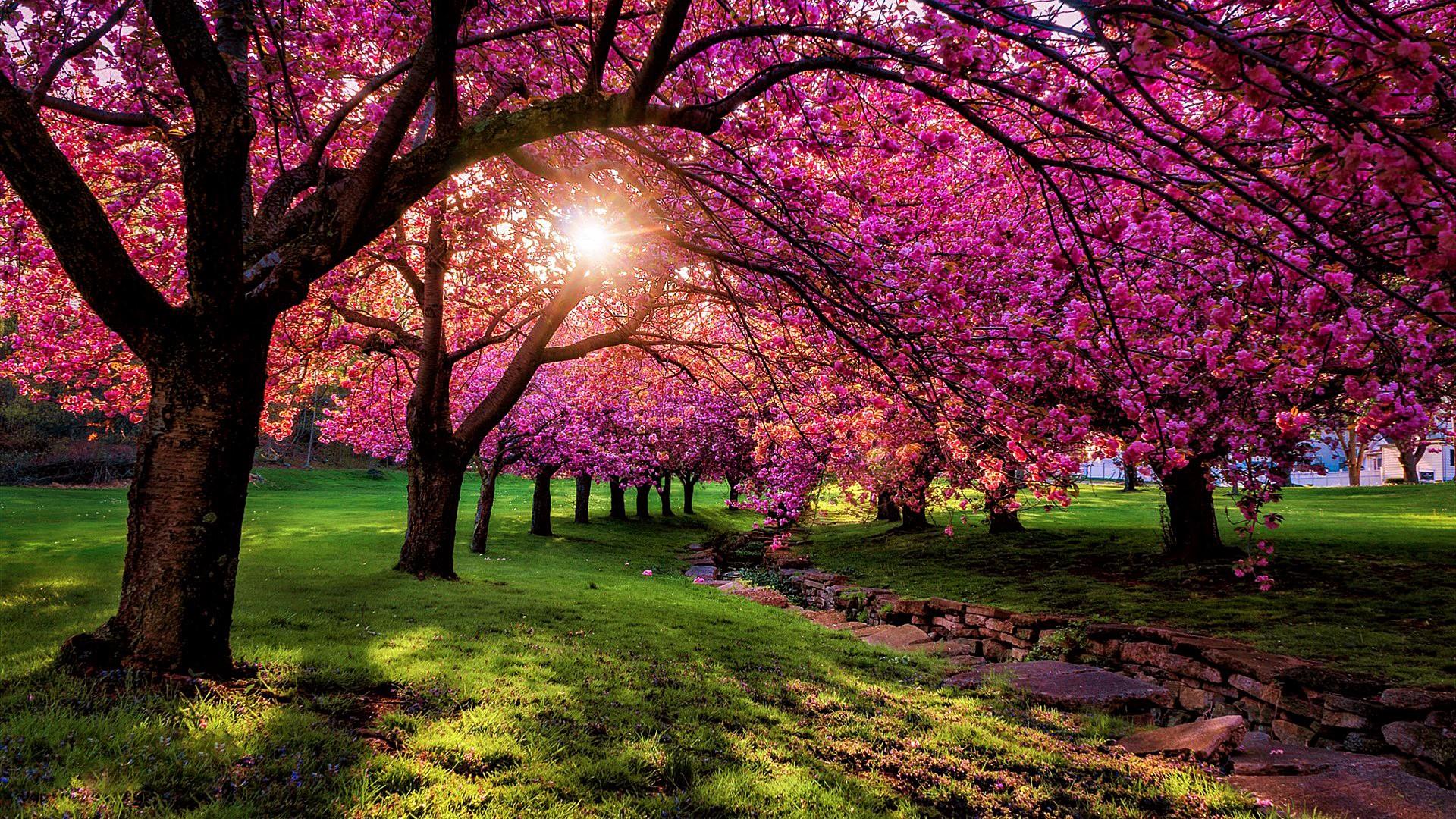 Spring Landscape Anime Wallpapers - Wallpaper Cave