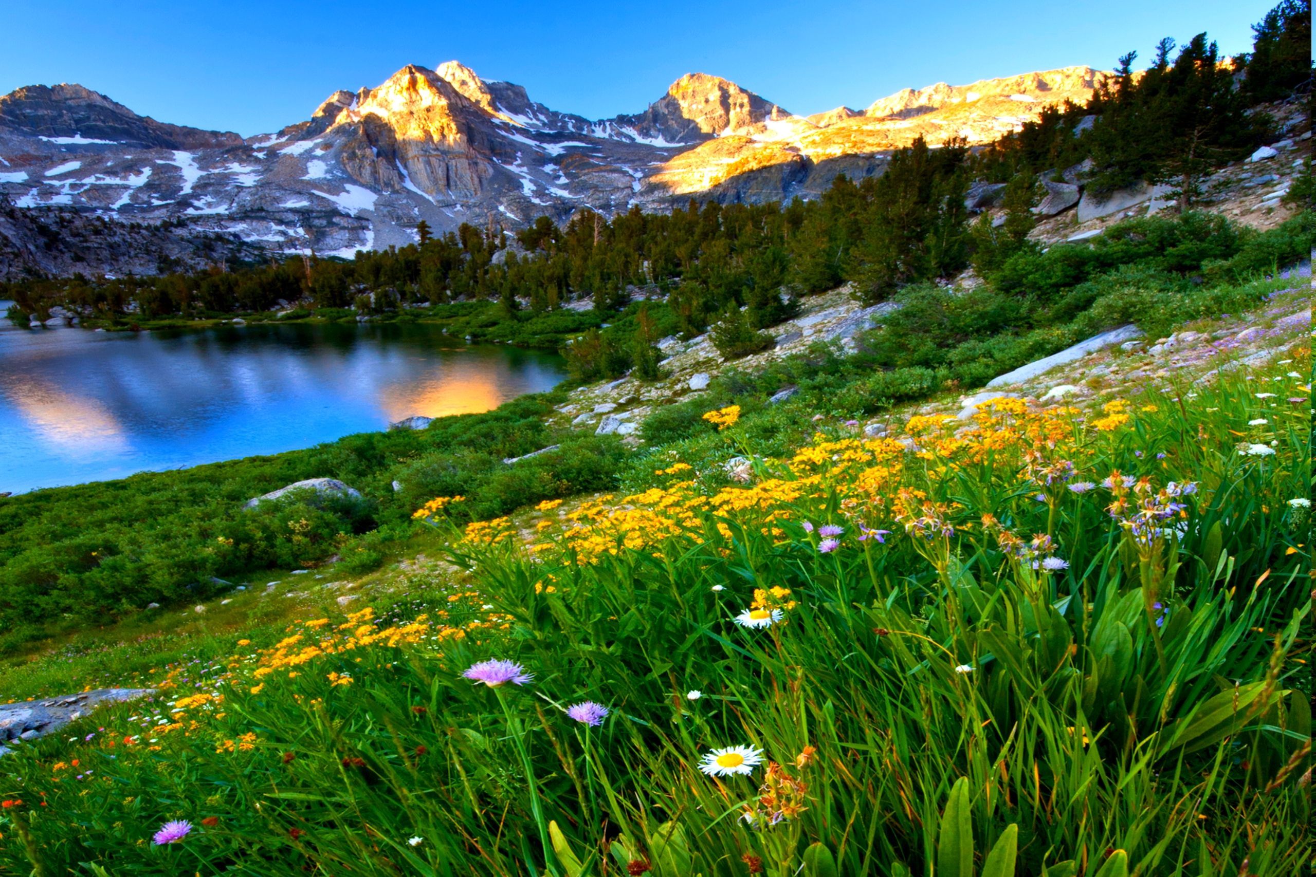 mountain spring meadow. Spring wallpaper, Spring picture, Background image wallpaper