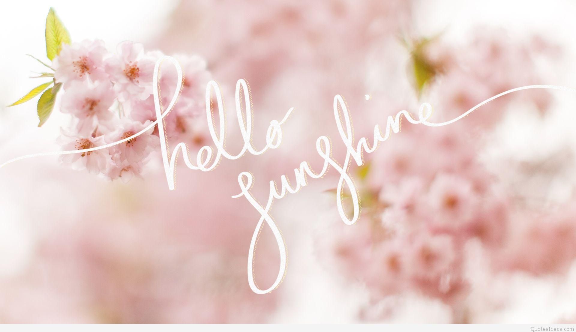 Hello Spring Wallpaper HD Sunshine Desktop Background