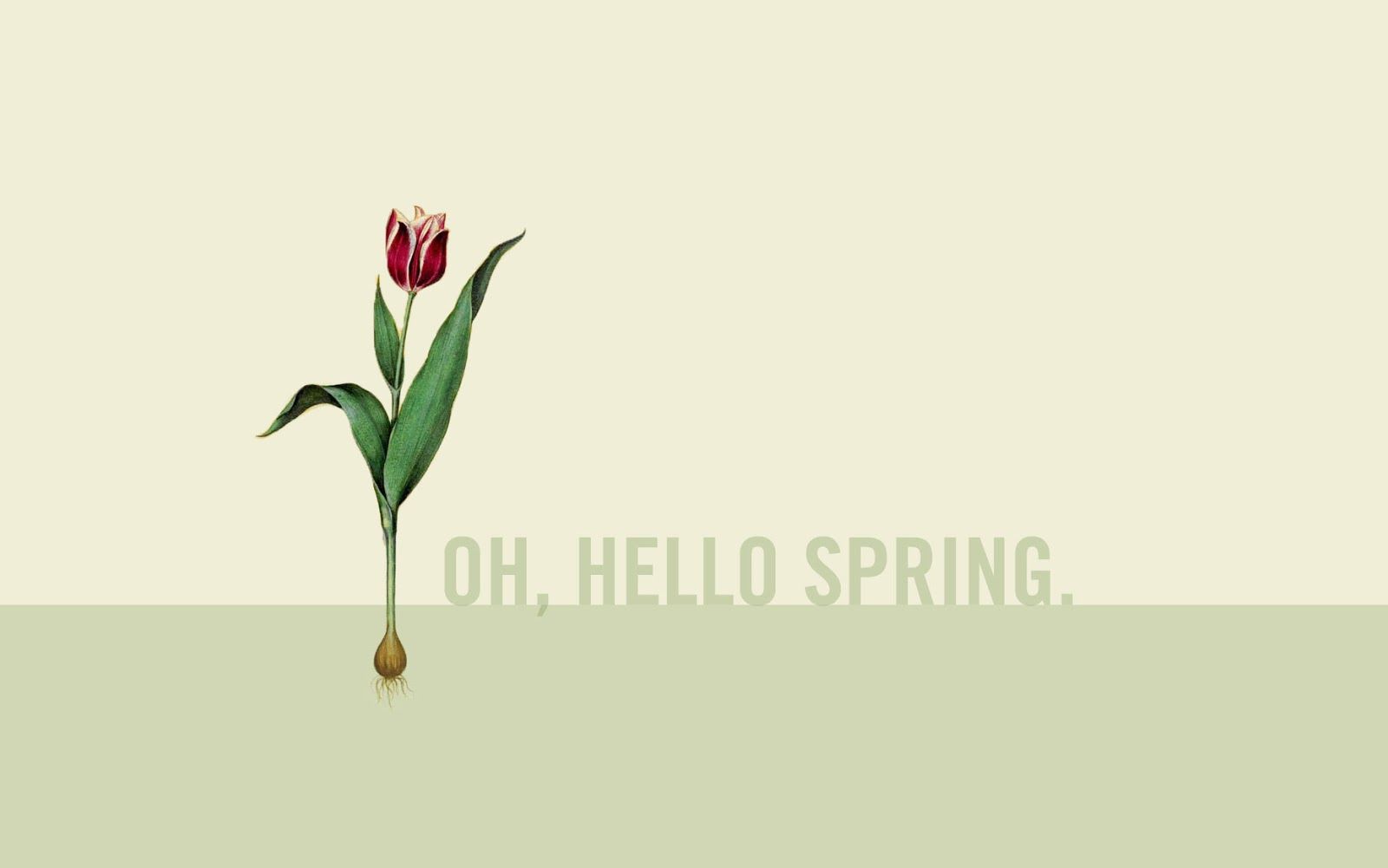 the life aesthetic: Hello, spring!