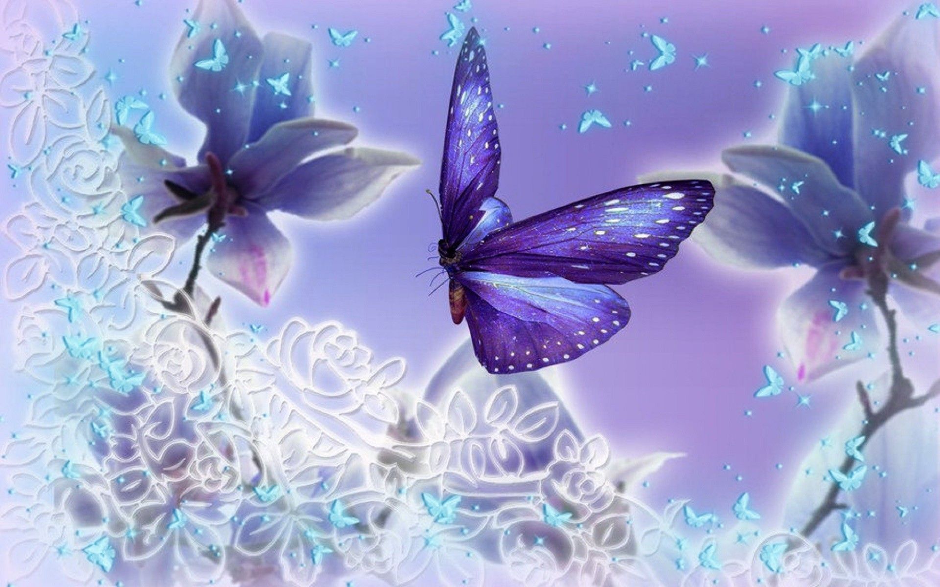 Butterfly Wallpaper