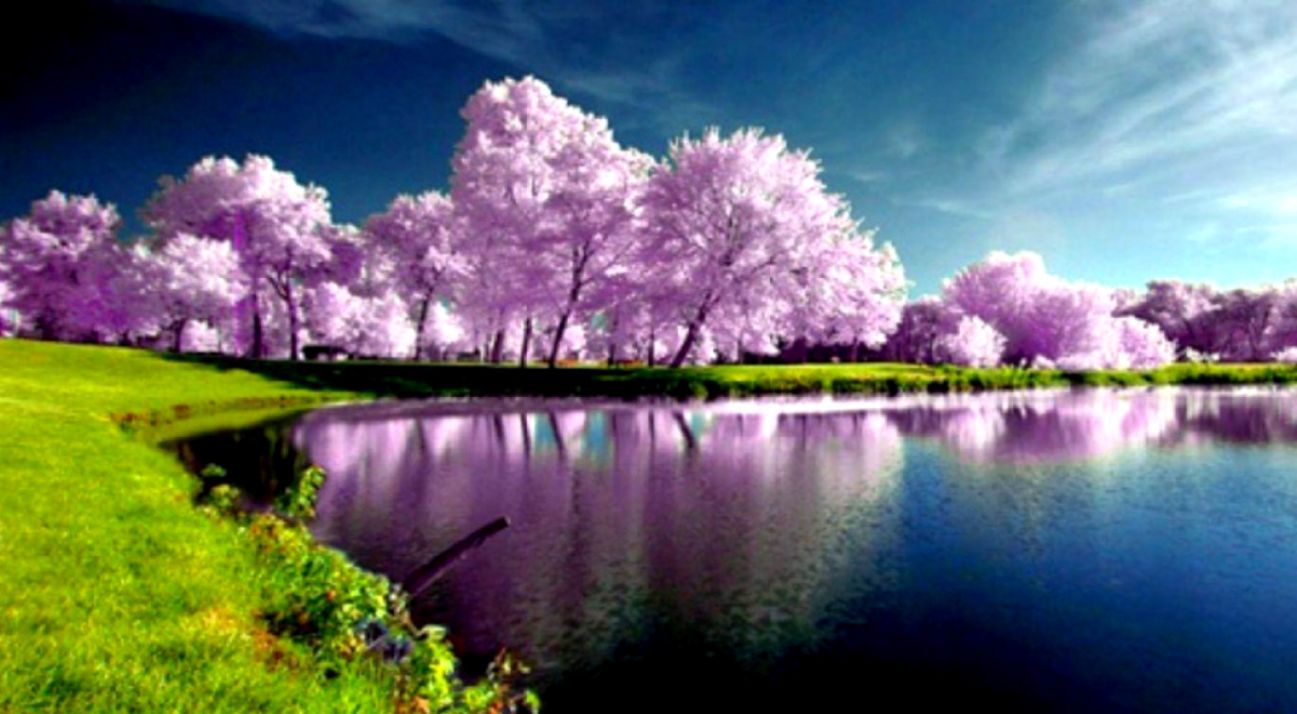 Nature Spring Wallpaper Desktop. All Wallpaper Desktop