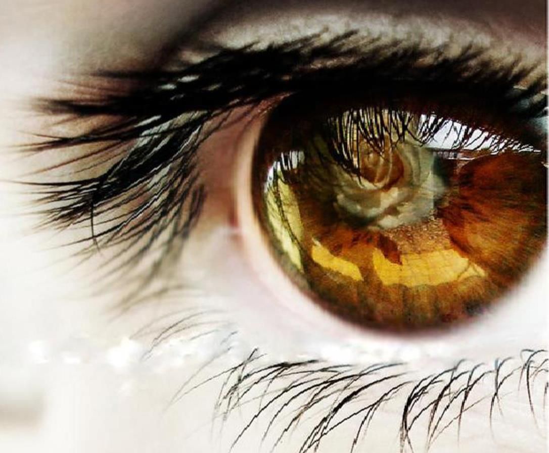 eyes. Eyes Photo, Eyes Photography, Eye Picture, best Eyes