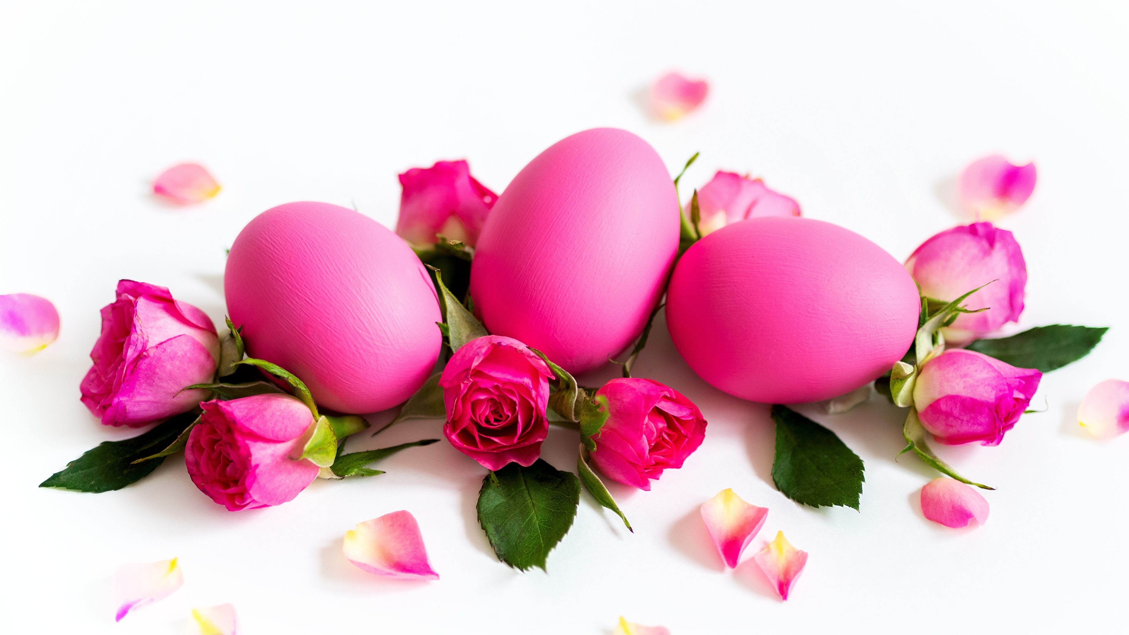 Desktop Wallpaper Easter Eggs rose Pink color flower 3840x2160