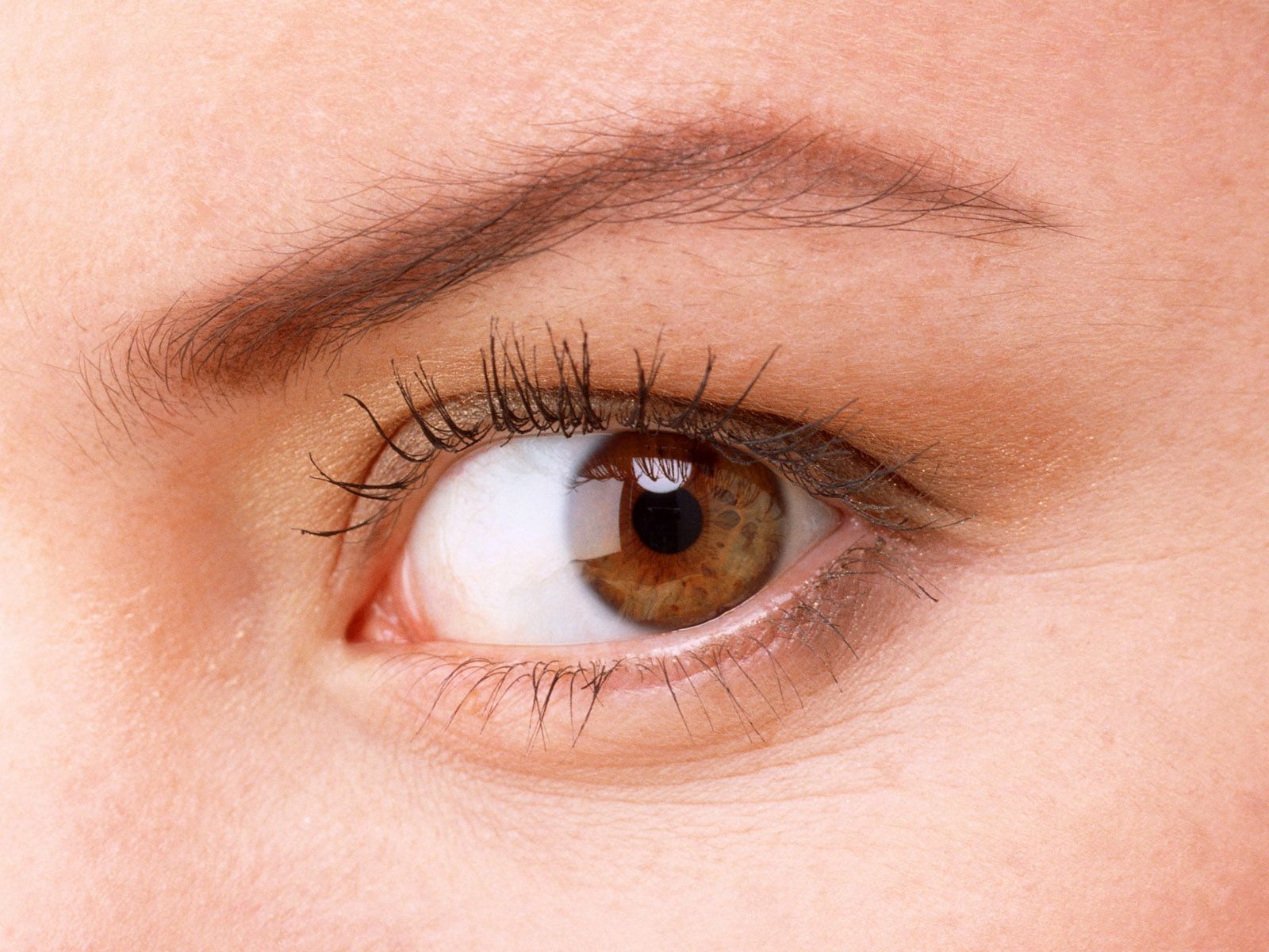 Female eyes album 6213 color theme