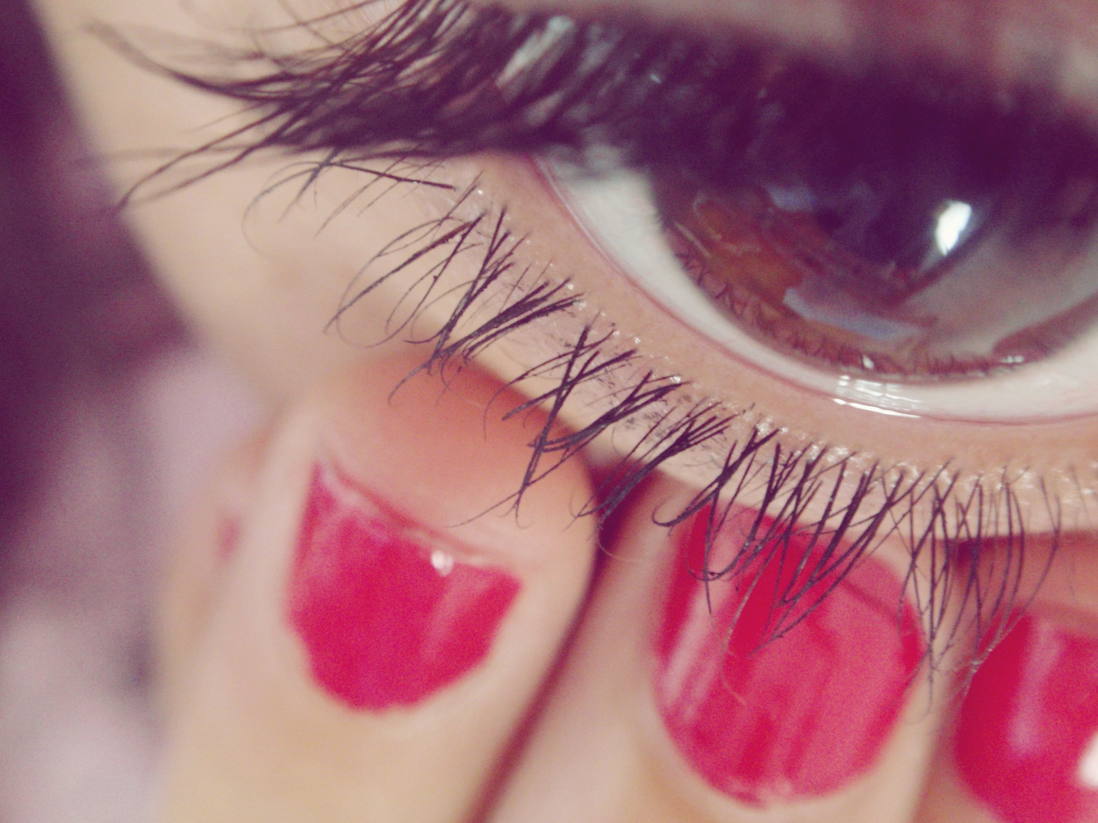 Focus photography of human eye HD wallpaper