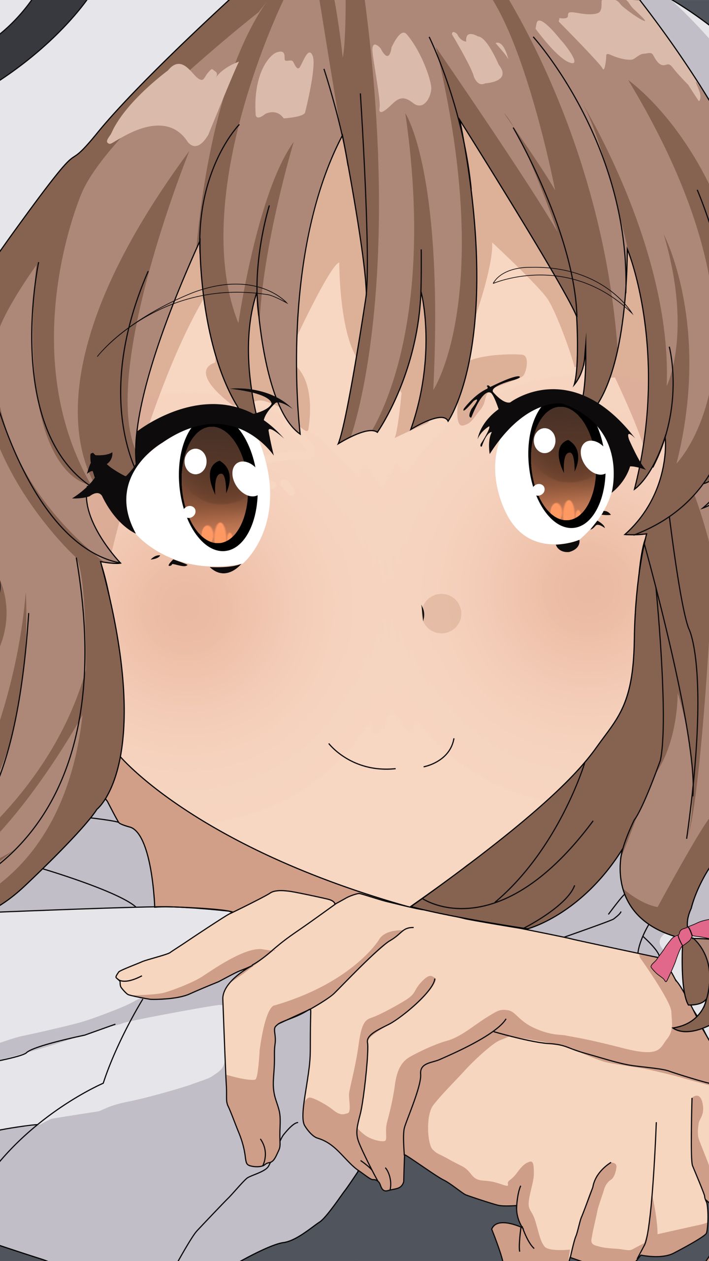 Anime Rascal Does Not Dream Of Bunny Girl Senpai 1440x2560