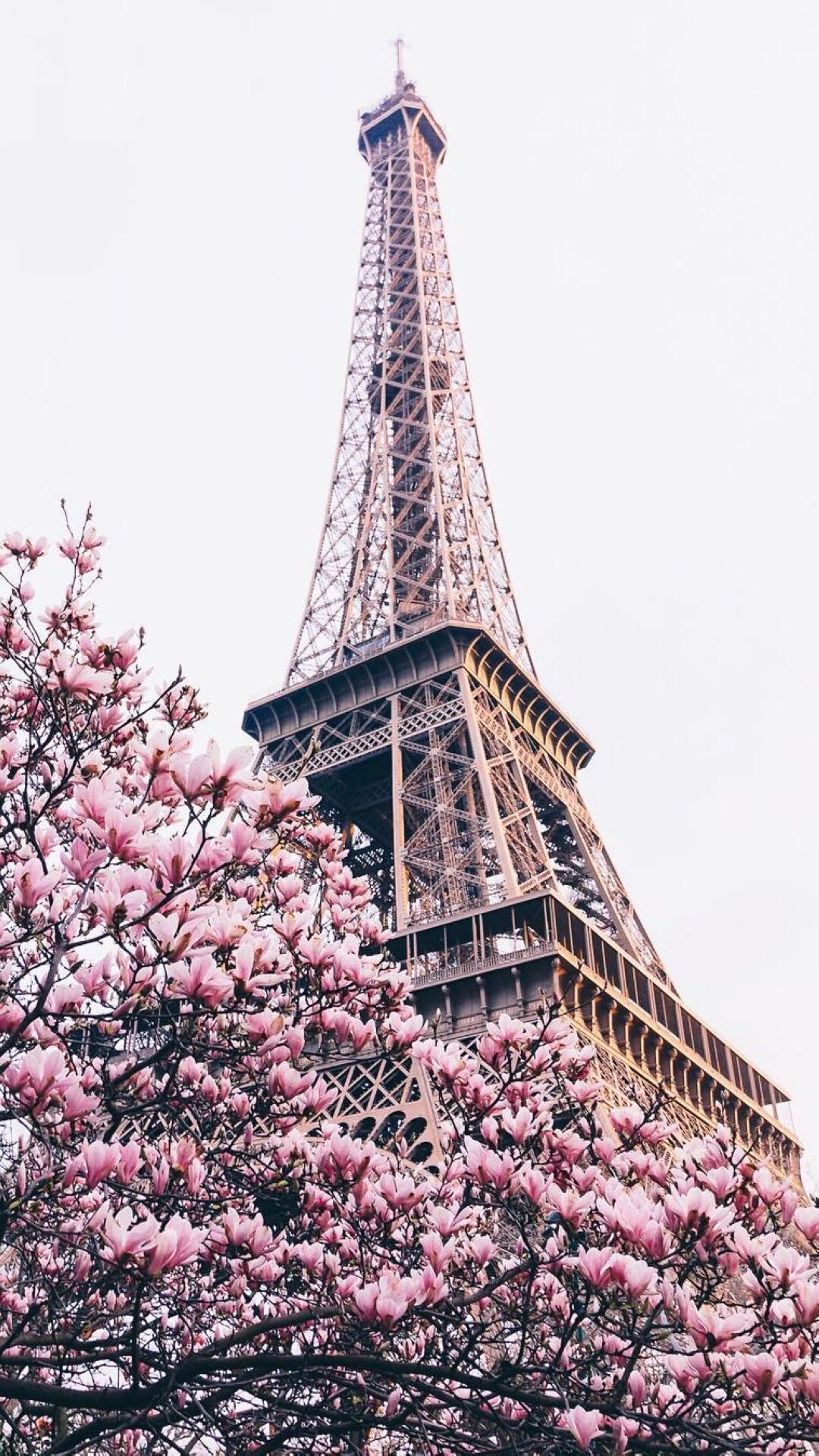 Эльвира. Paris wallpaper, Paris background, Eiffel tower