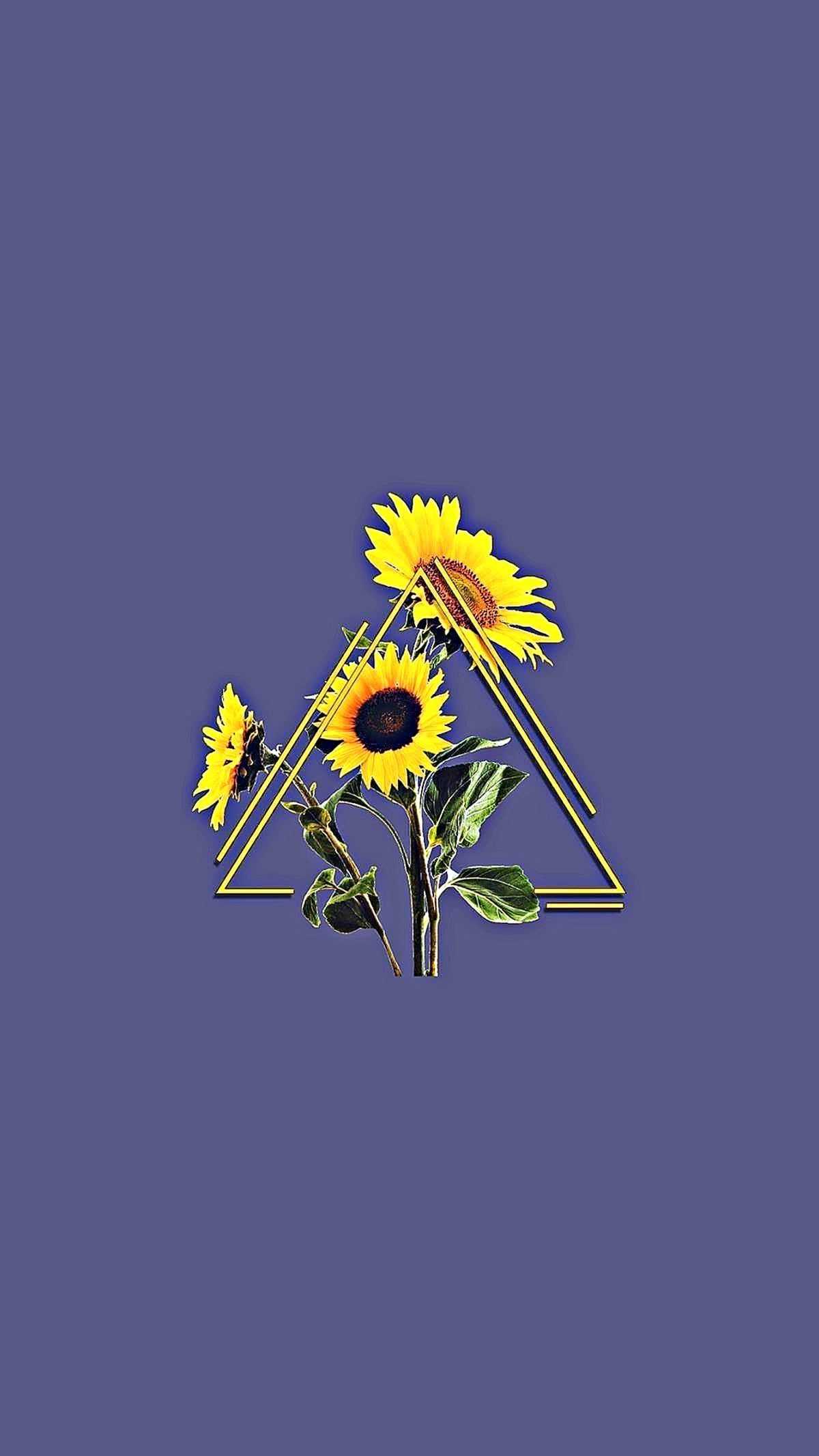 Tumblr Grunge Sunflower Aesthetic.