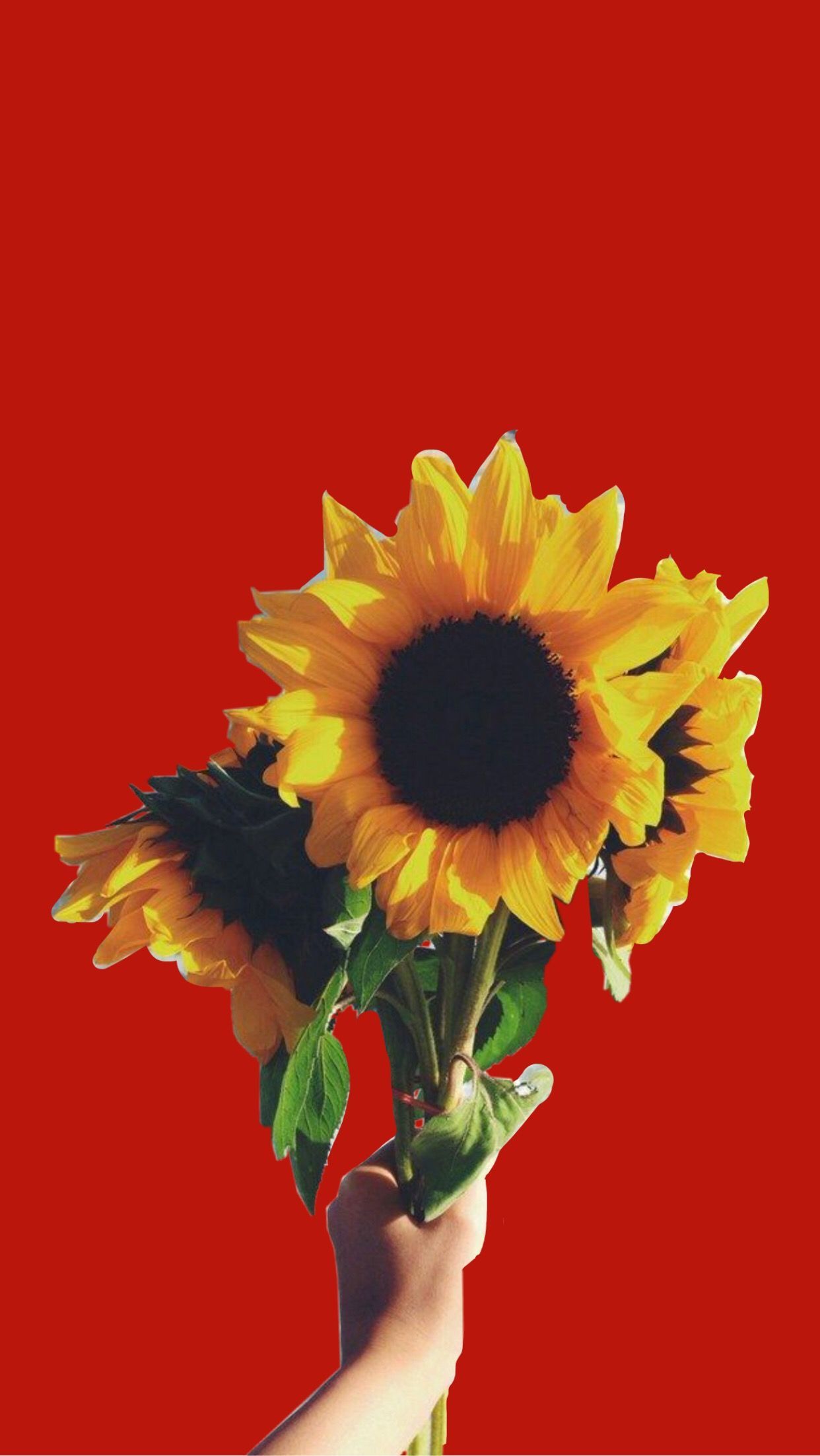 Red Lockscreen / Wallpaper / Background Sunflower Aesthetic