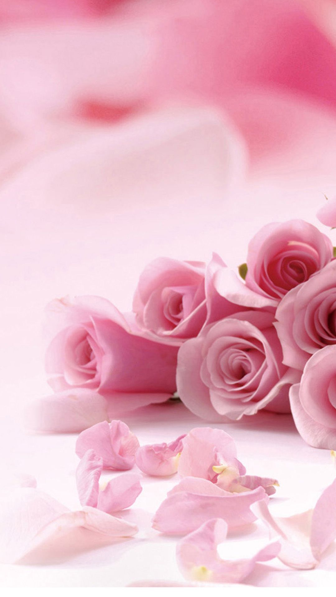 Wallpaper With Pink Roses And Petals For iPhone Flower