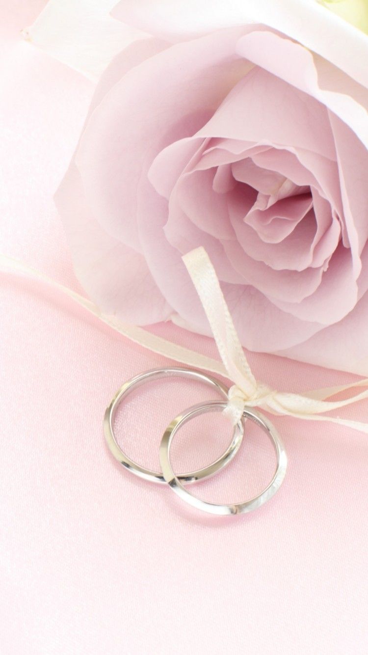 Free download Pink Rose with Rings Wallpaper iPhone Wallpaper