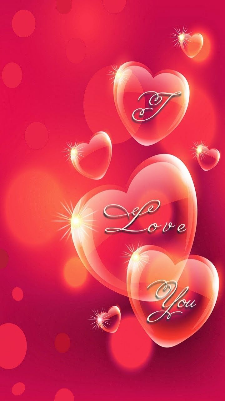 I Love You HD Wallpaper For Android
