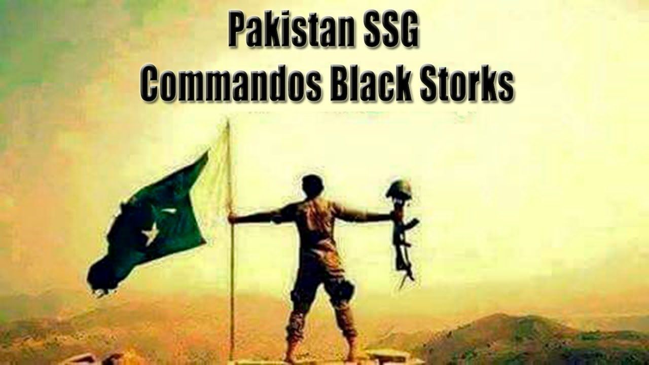 Ssg Commandos Storks Army Zindabad, Download
