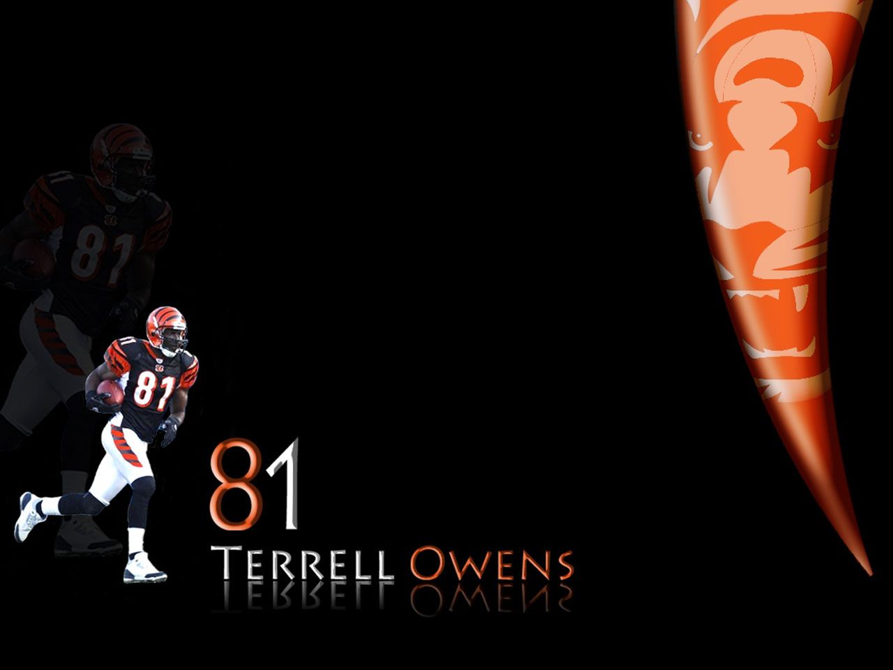 Terrell Owens Wallpapers - Wallpaper Cave