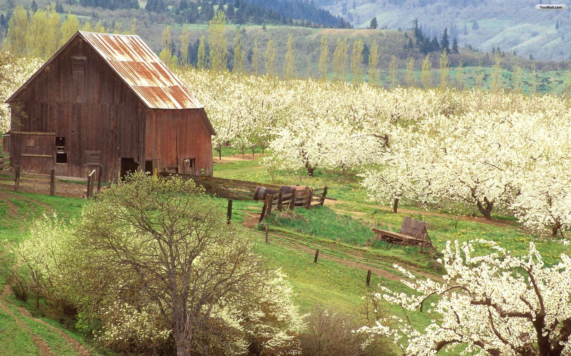 Wallpaper. Old barns, Spring scene, Spring wallpaper