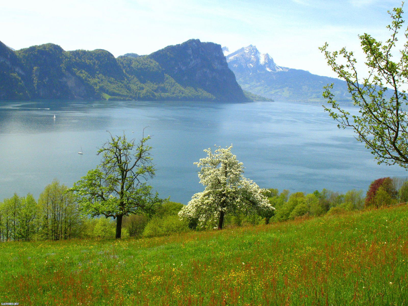 Photo 4 Free: Beaitiful Country Switzerland Wallpaper 1