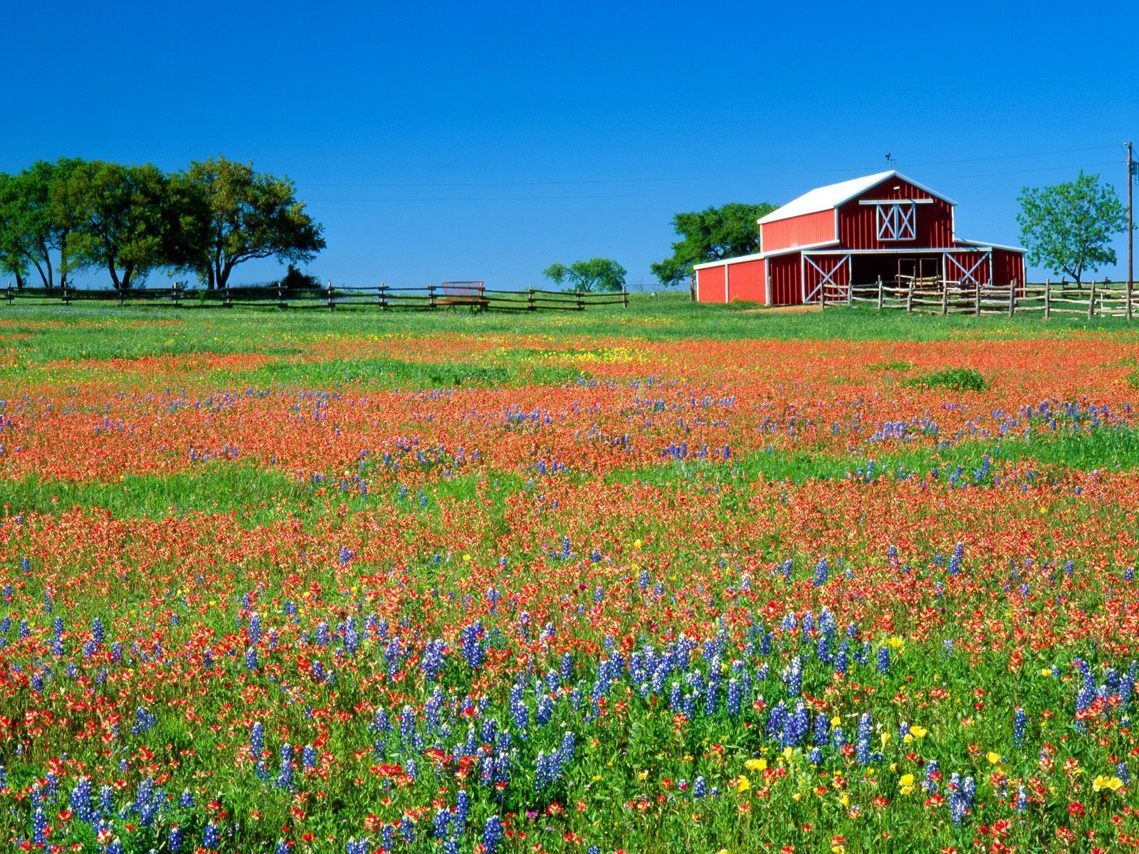 country spring backgrounds for desktop
