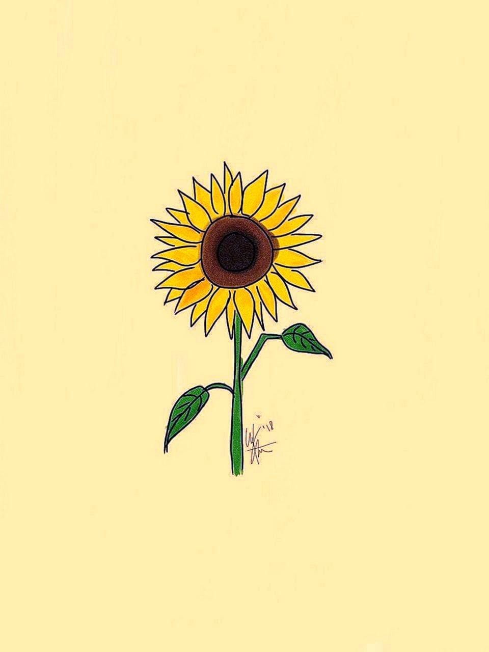 Cute Aesthetic Sunflower Wallpaper