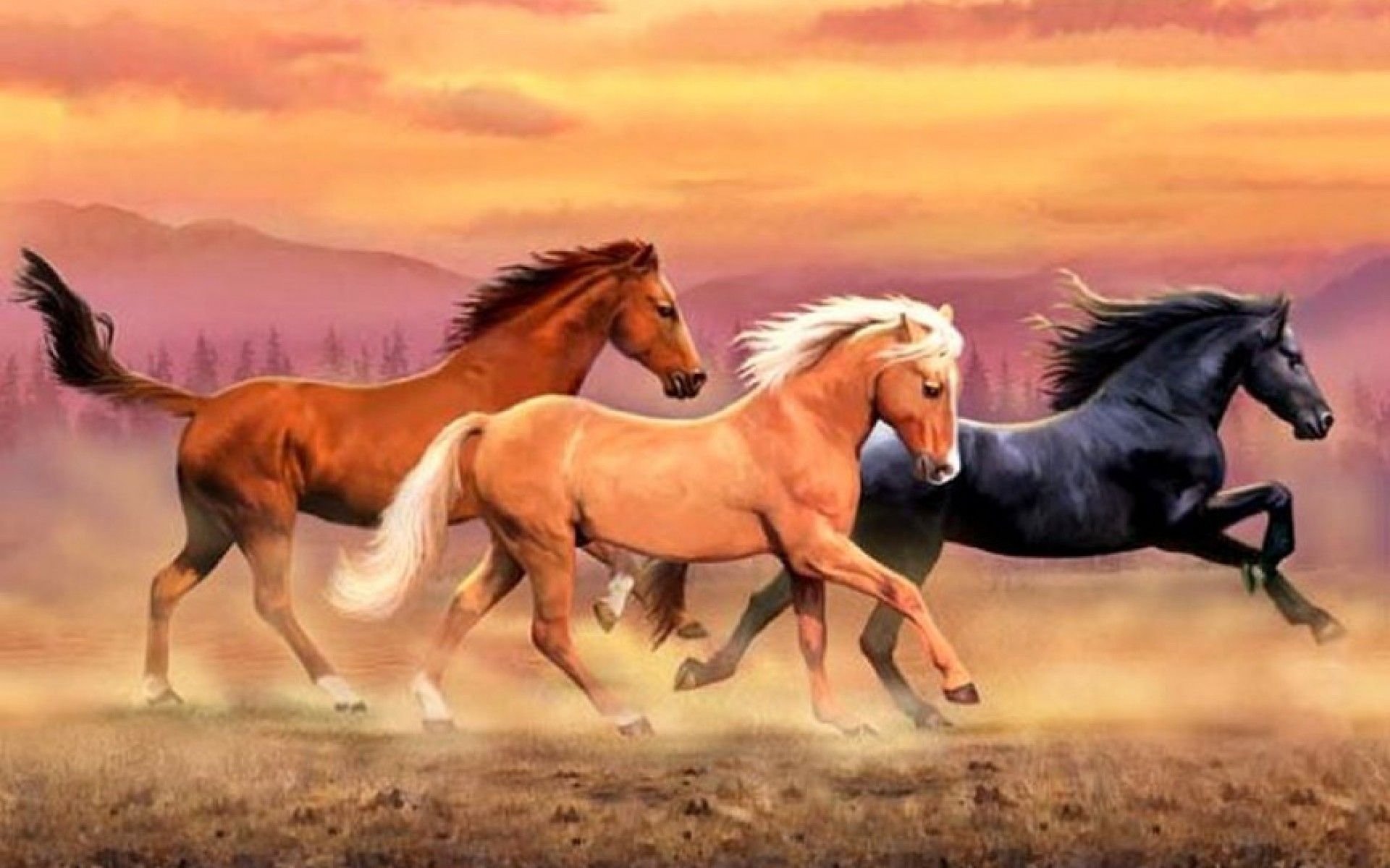 Wild Horse Wallpaper