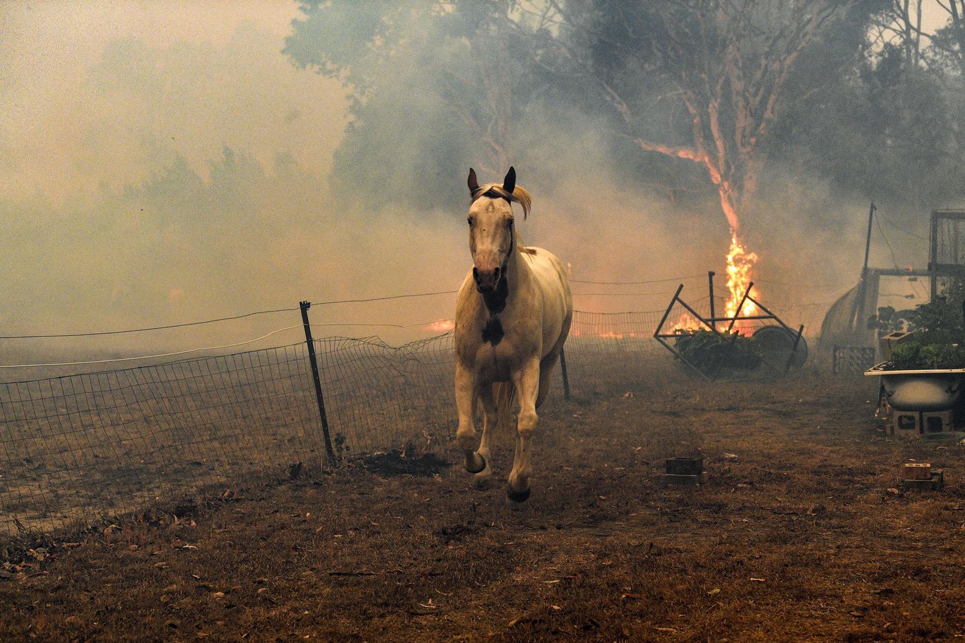 Australia bushfires: Photo from journalists on the ground