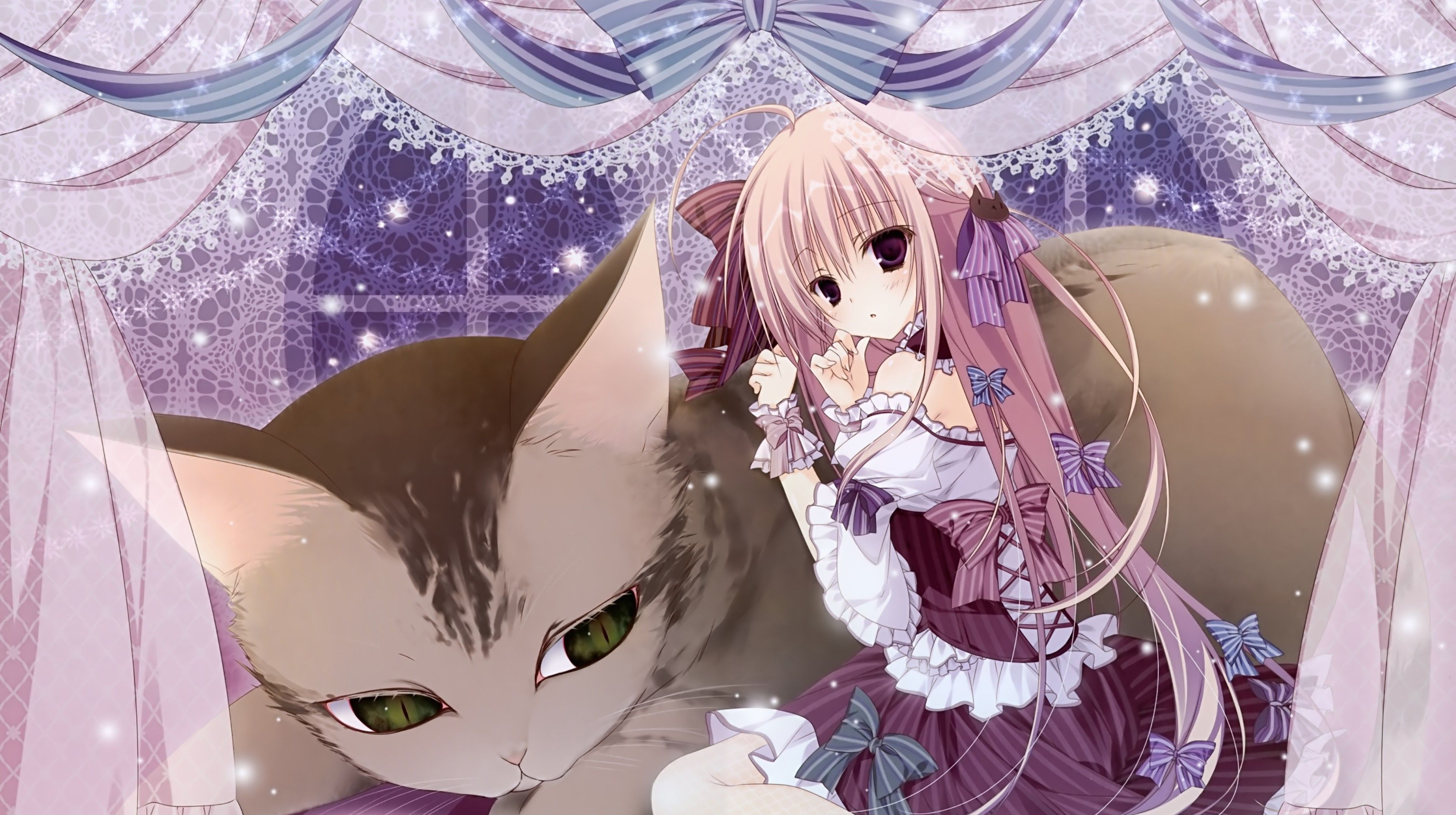 Download 3860x2160 Anime Girl, Big Cat, Lolita Fashion, Ribbons