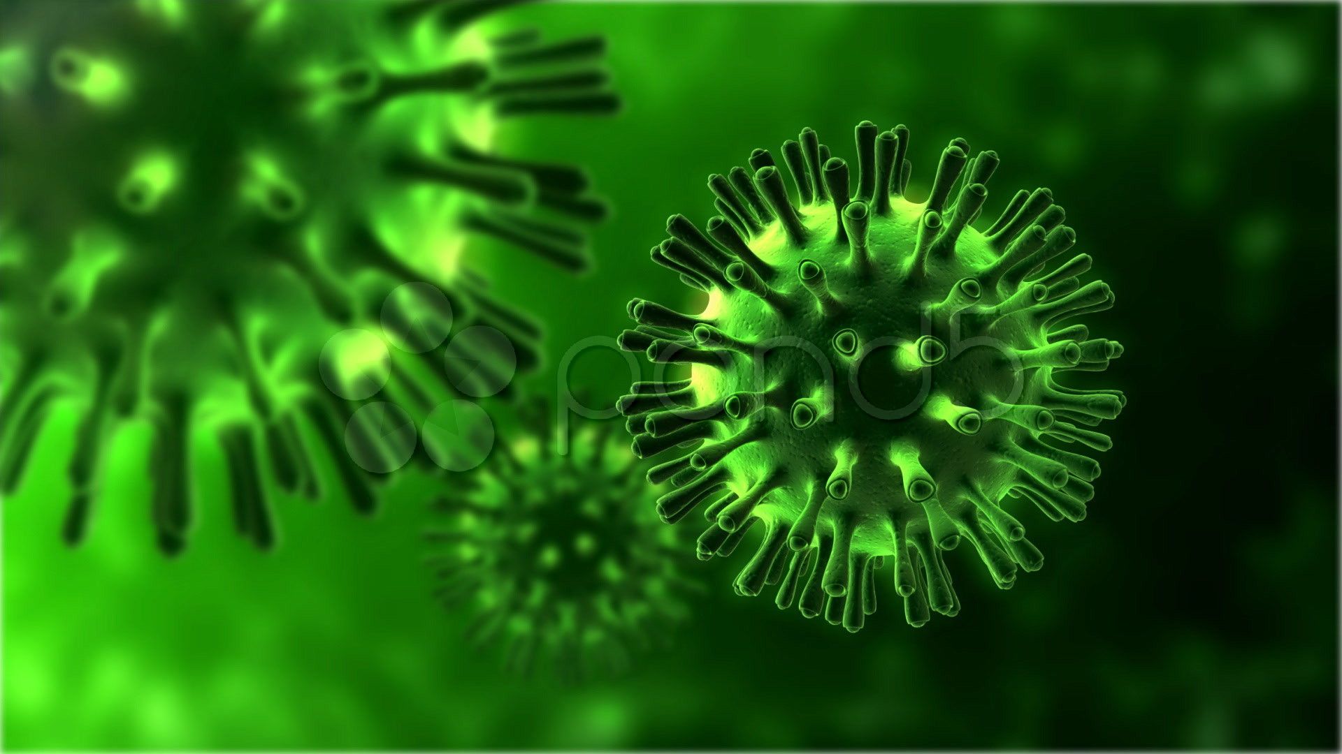 Биология вирусы коронавирус
