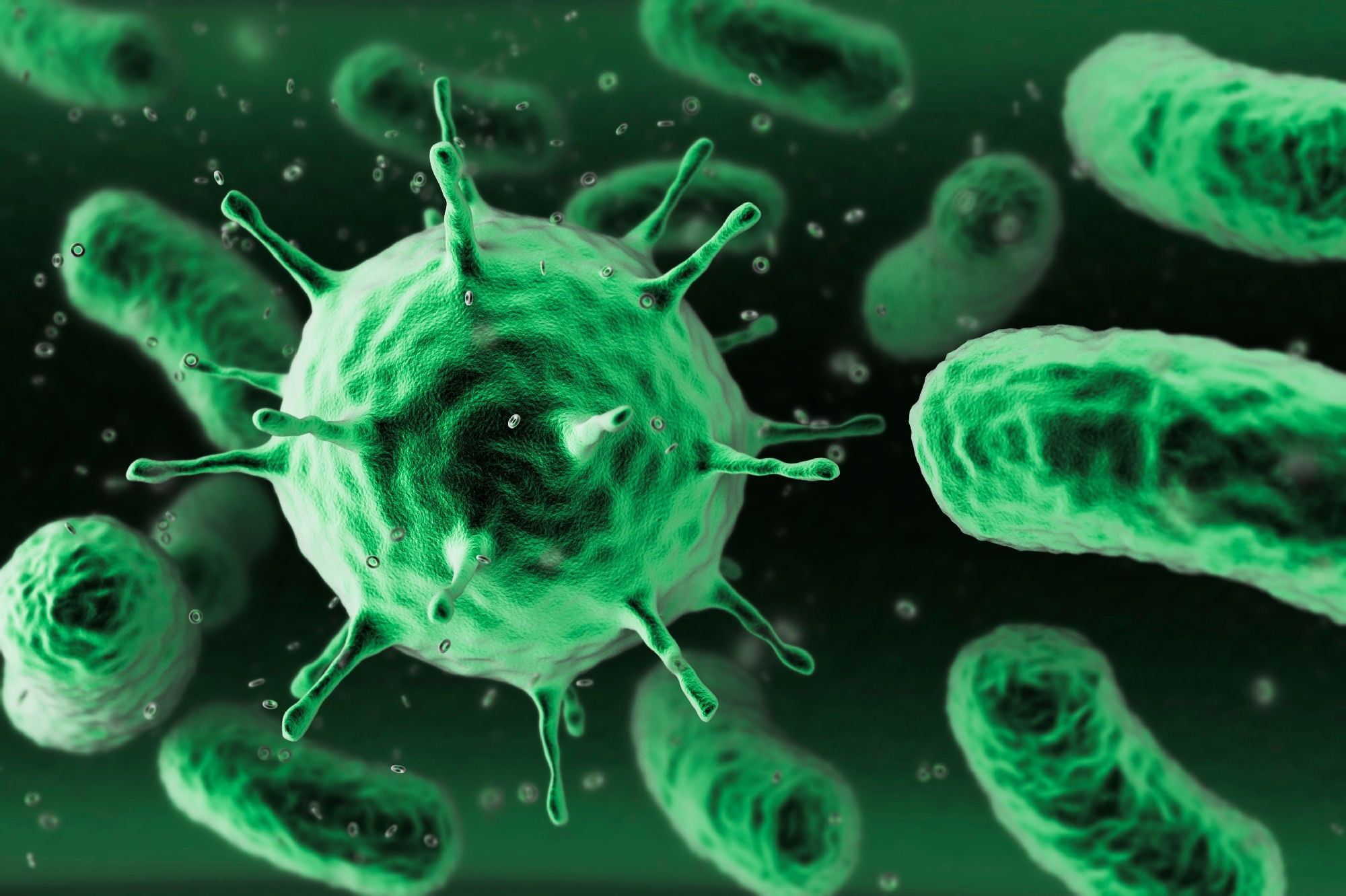 Bacteria illustration, microscopic, macro, miniatures, bacteria HD