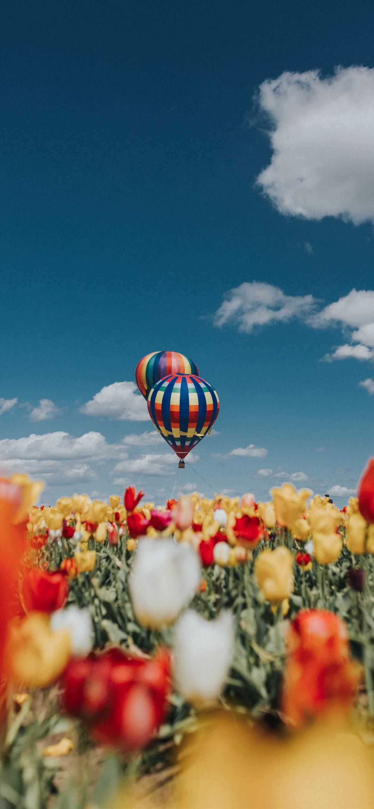Balloon Over Tulips iPhone X Wallpaper Free Download