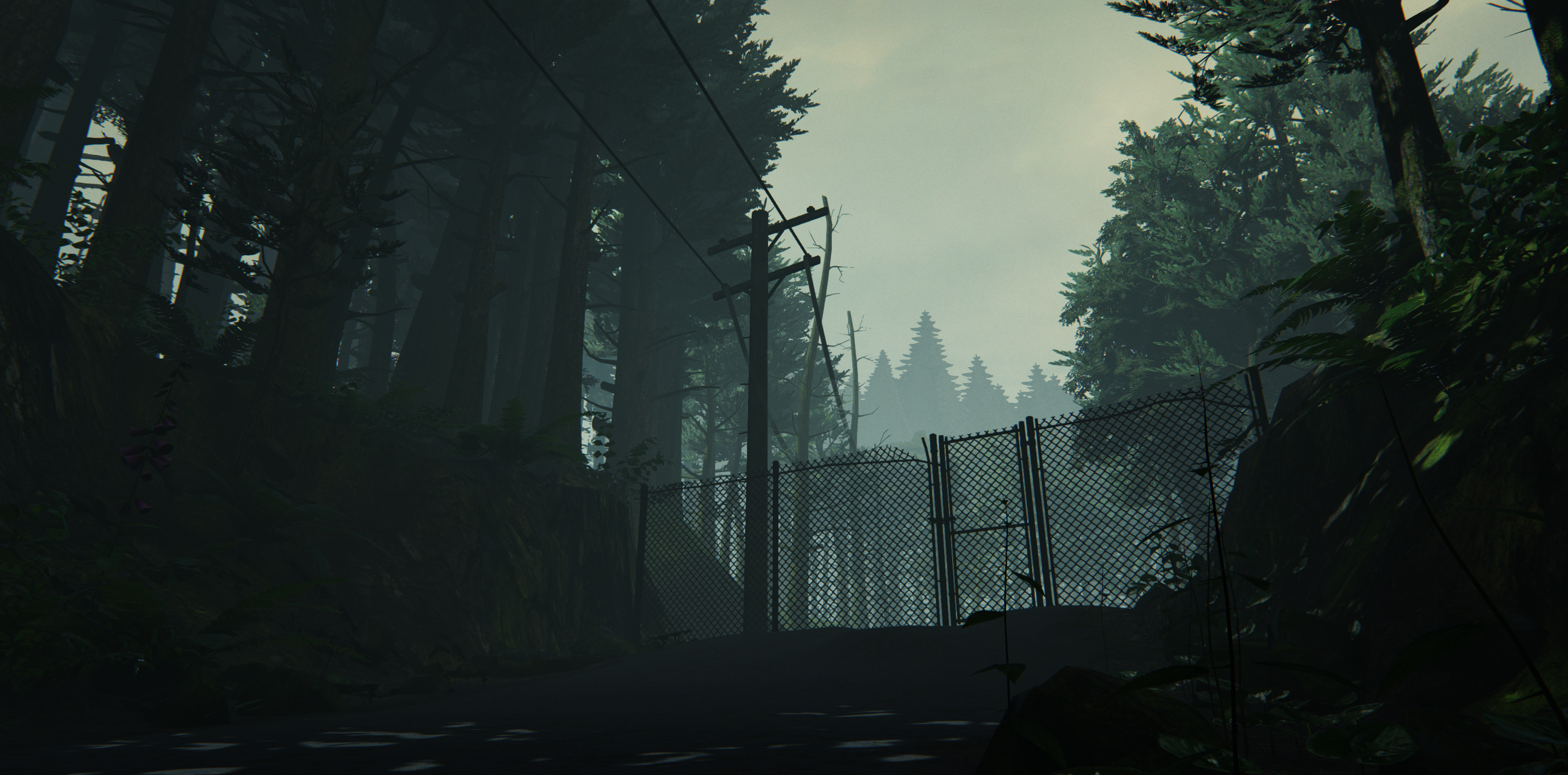 Desktop What Remains Of Edith Finch Wallpapers Wallpaper Cave Desktop What Remains Of Edith Finch Wallpapers Wallpaper Cave