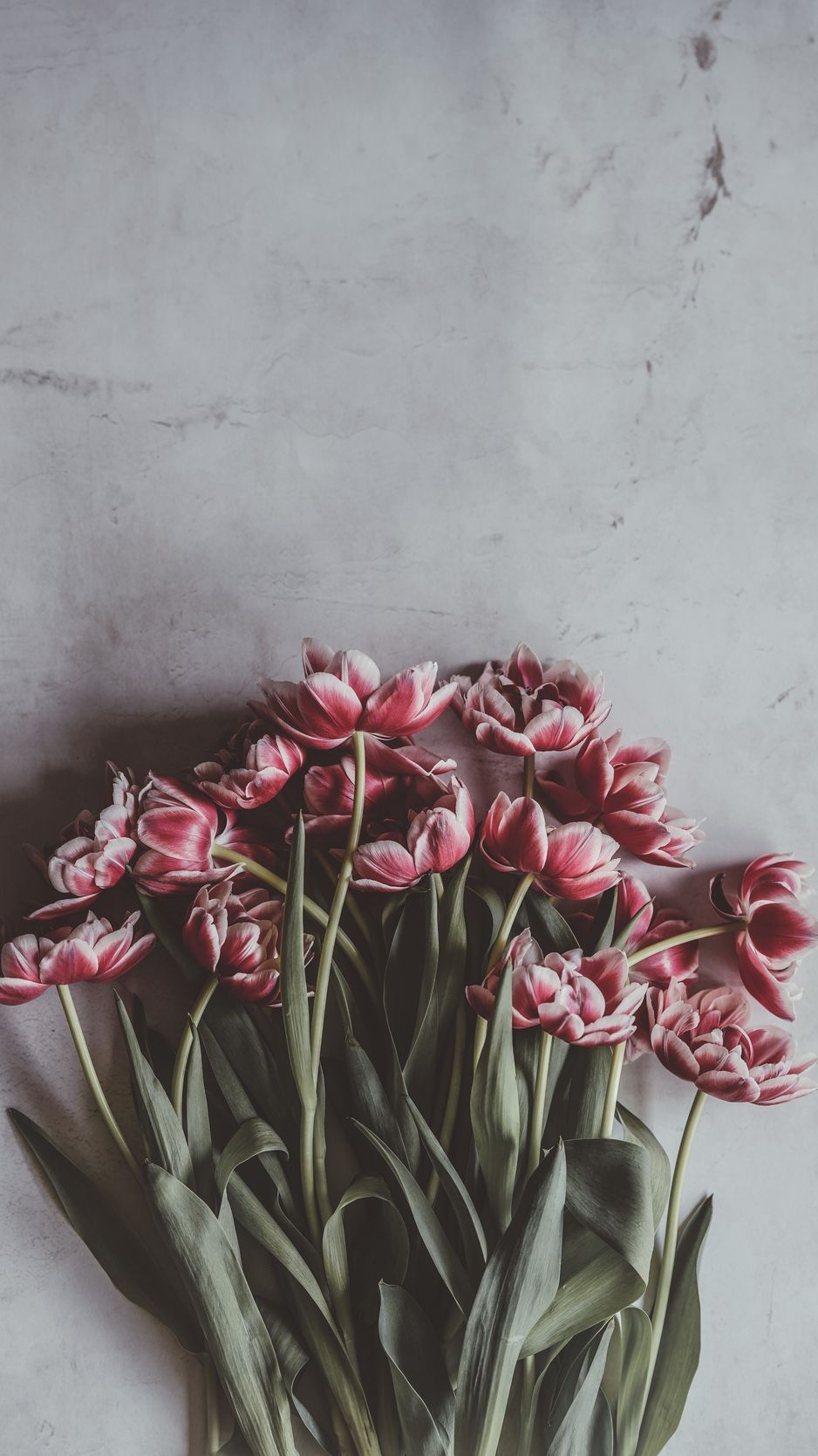Download wallpaper 938x1668 tulips, bouquet, flowers, buds, stems