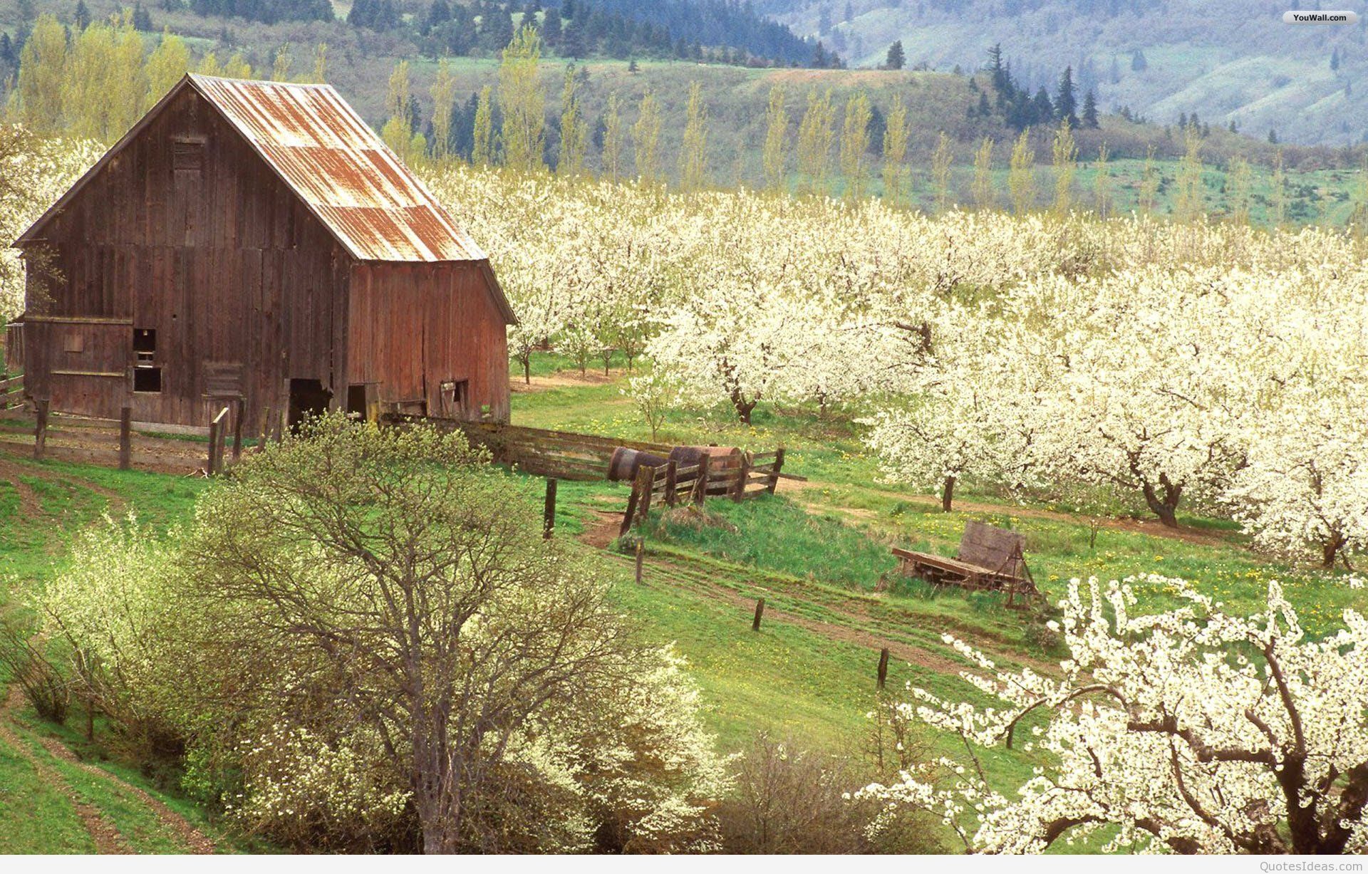 Spring Fields HD Wallpapers - Wallpaper Cave