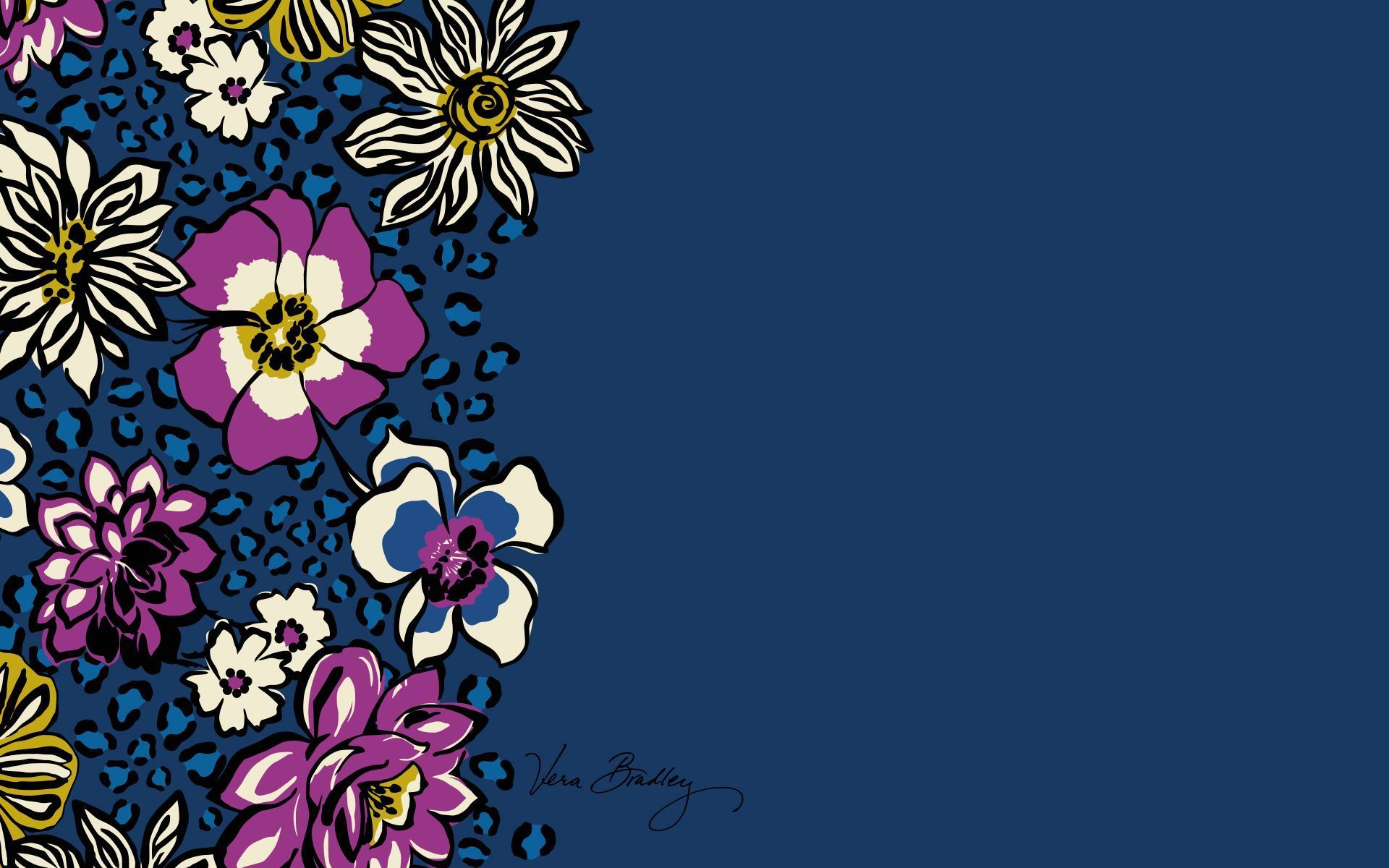 Computer Wallpaper Downloads African Violet