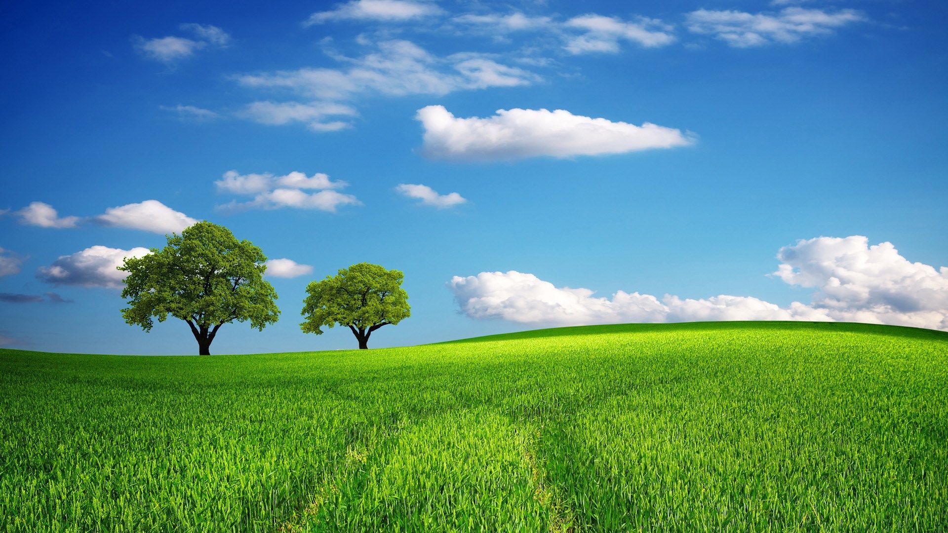 summer picture desktop. Green landscape, Beautiful nature spring, Landscape wallpaper
