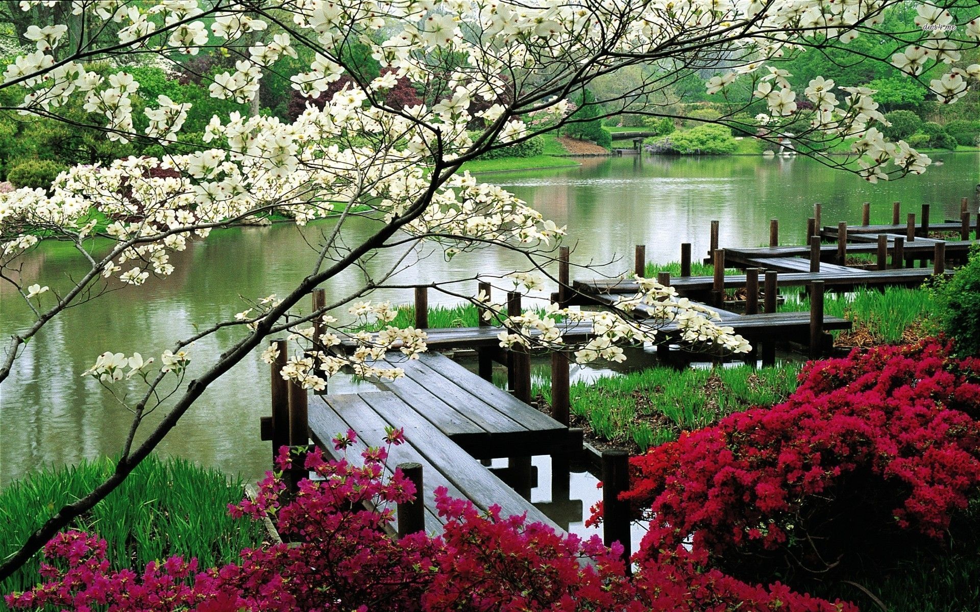 Japanese Garden Cherry Blossom Wallpaper Free Japanese