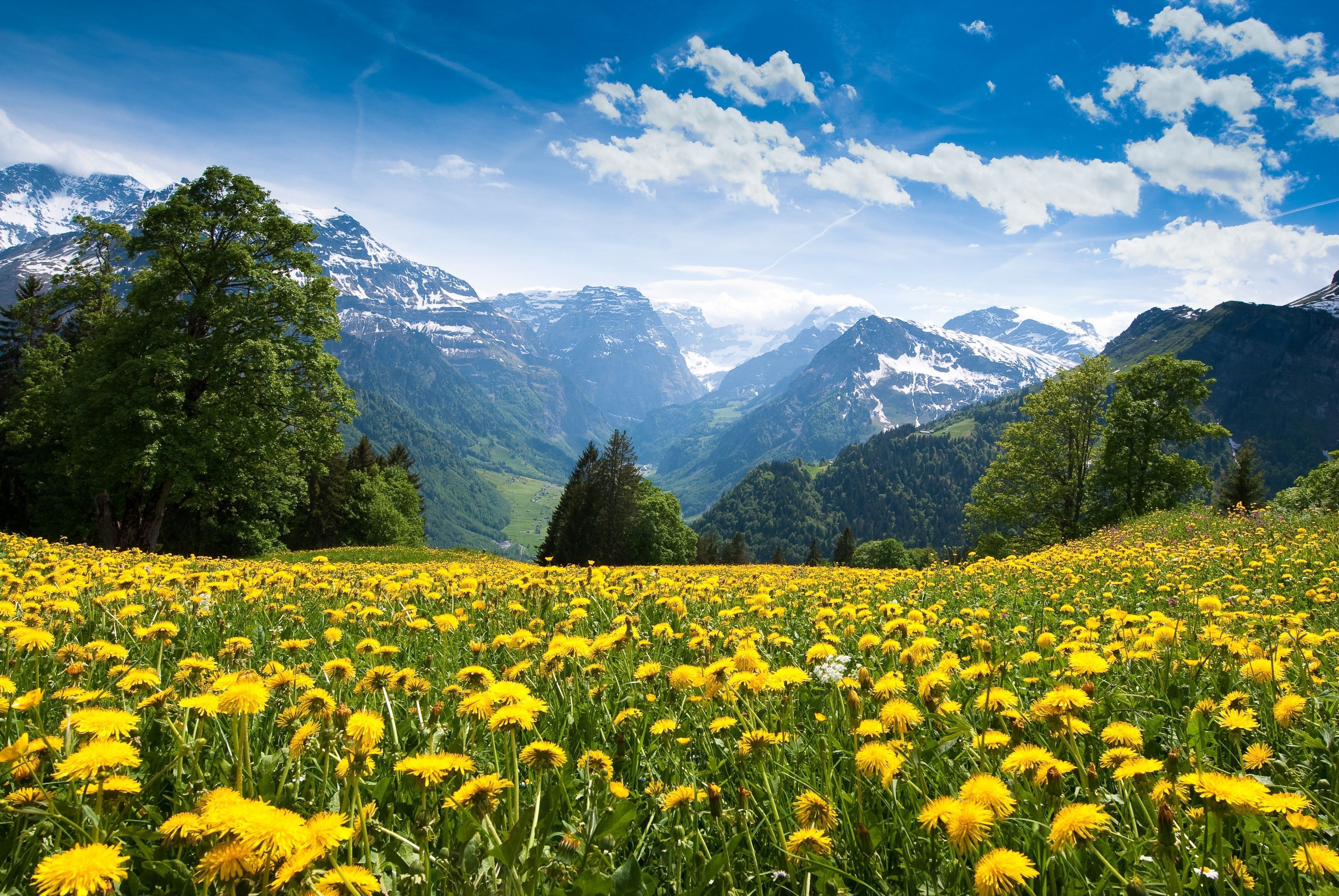 Braunwald, Switzerland [3872x2592]. Mountain landscape, Scenery