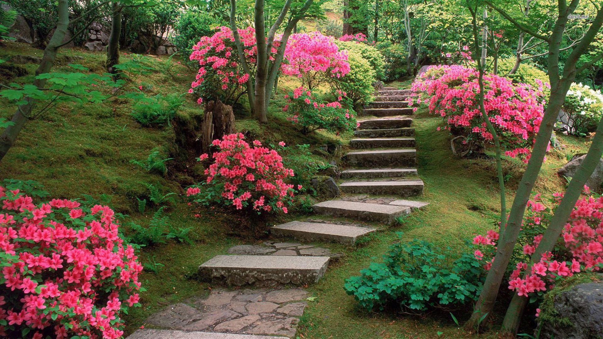 Spring Japanese Garden Picture On Wallpaper 1080p HD Nen