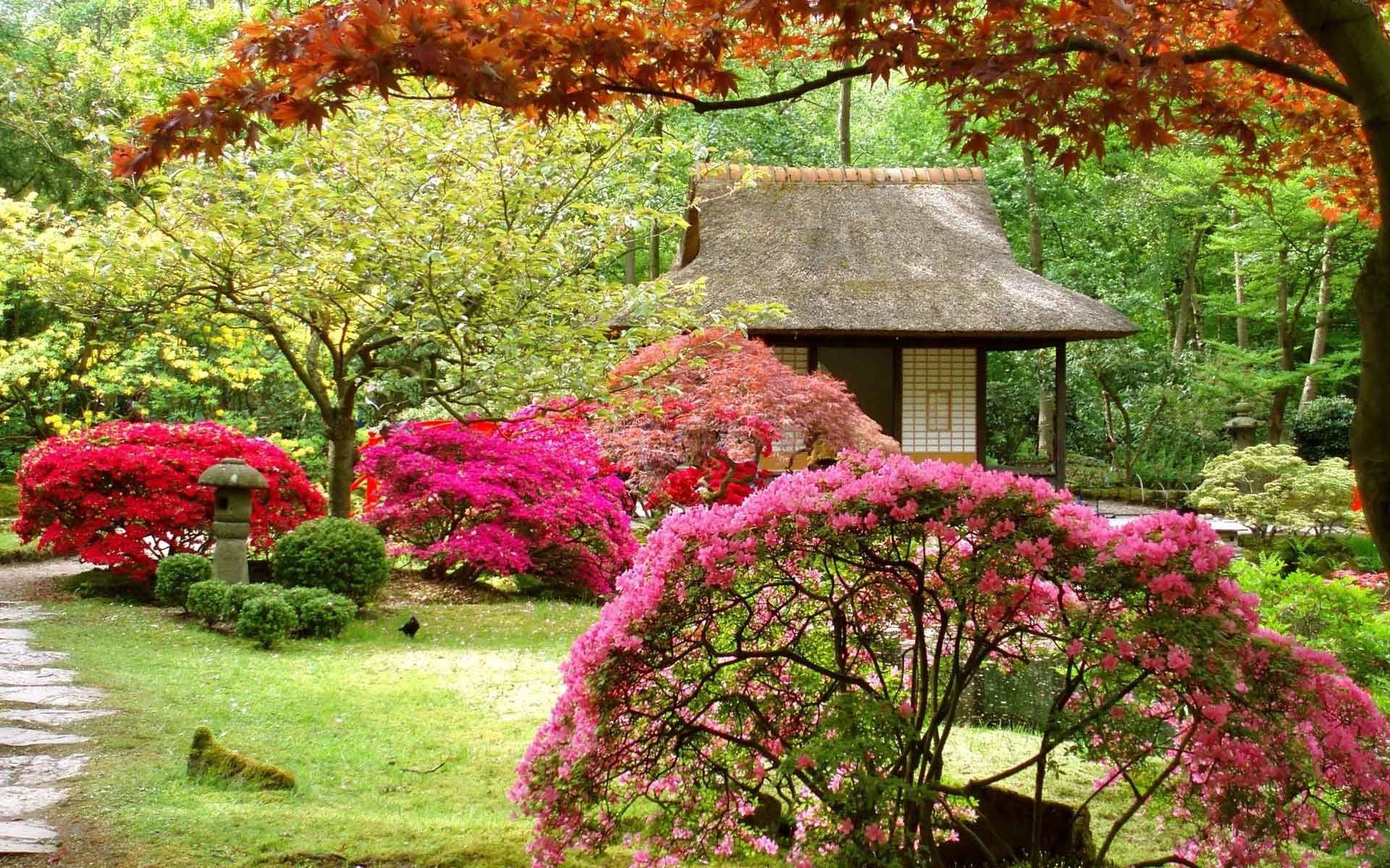 Landscapes Japanese Asian Garden Flowers Spring Japan Trees