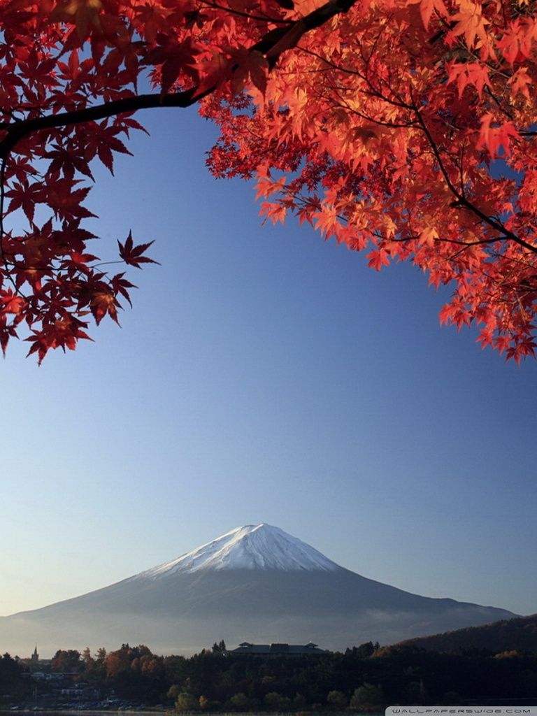 Autumn, Mount Fuji, Japan Ultra HD Desktop Background Wallpaper