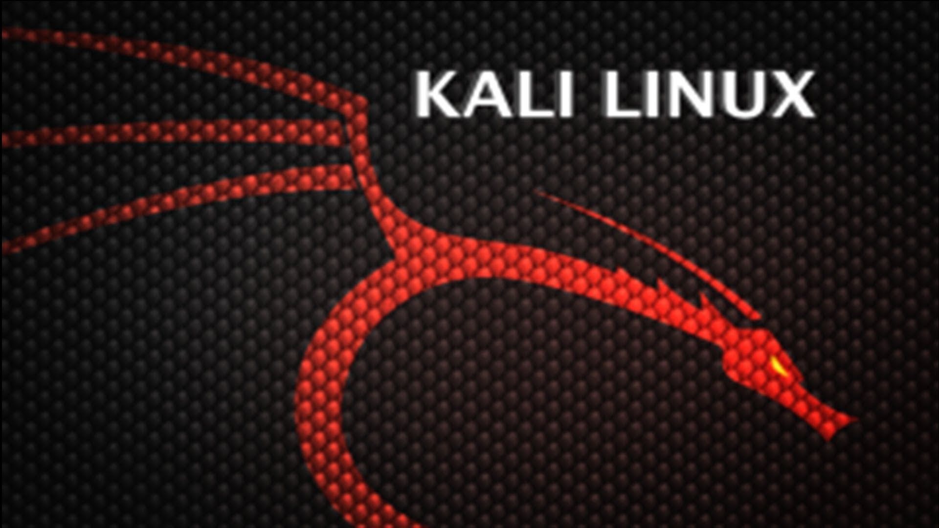 Kali Linux Wallpaper 1920×1080