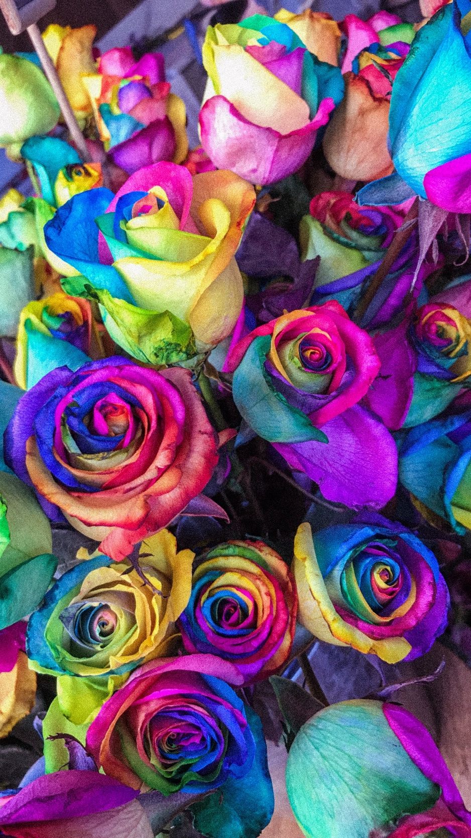 Download wallpaper 938x1668 roses, colorful, bouquet, colourful