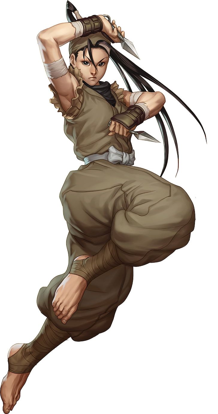HD wallpaper: female anime character illustration, Street Fighter