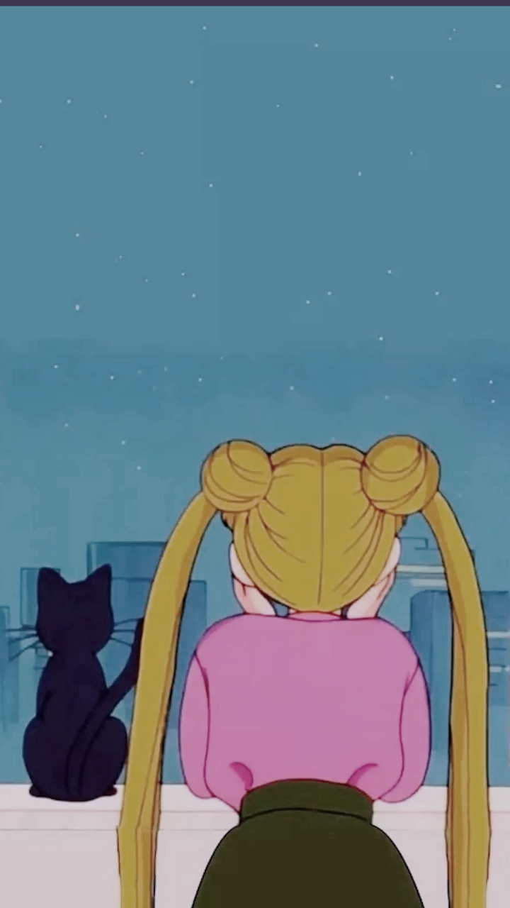Sailor Moon & Luna