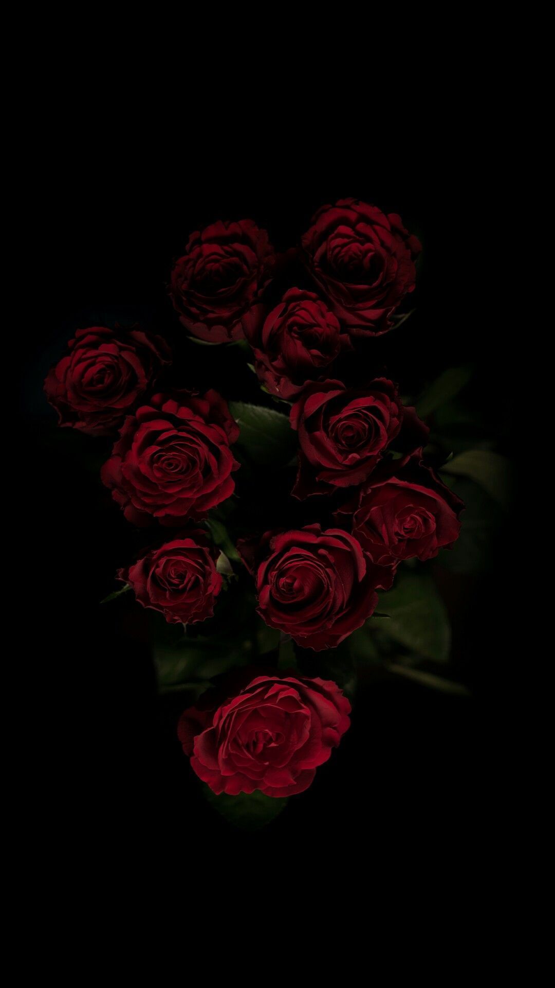 Dark Rose Wallpaper Free Dark Rose Background
