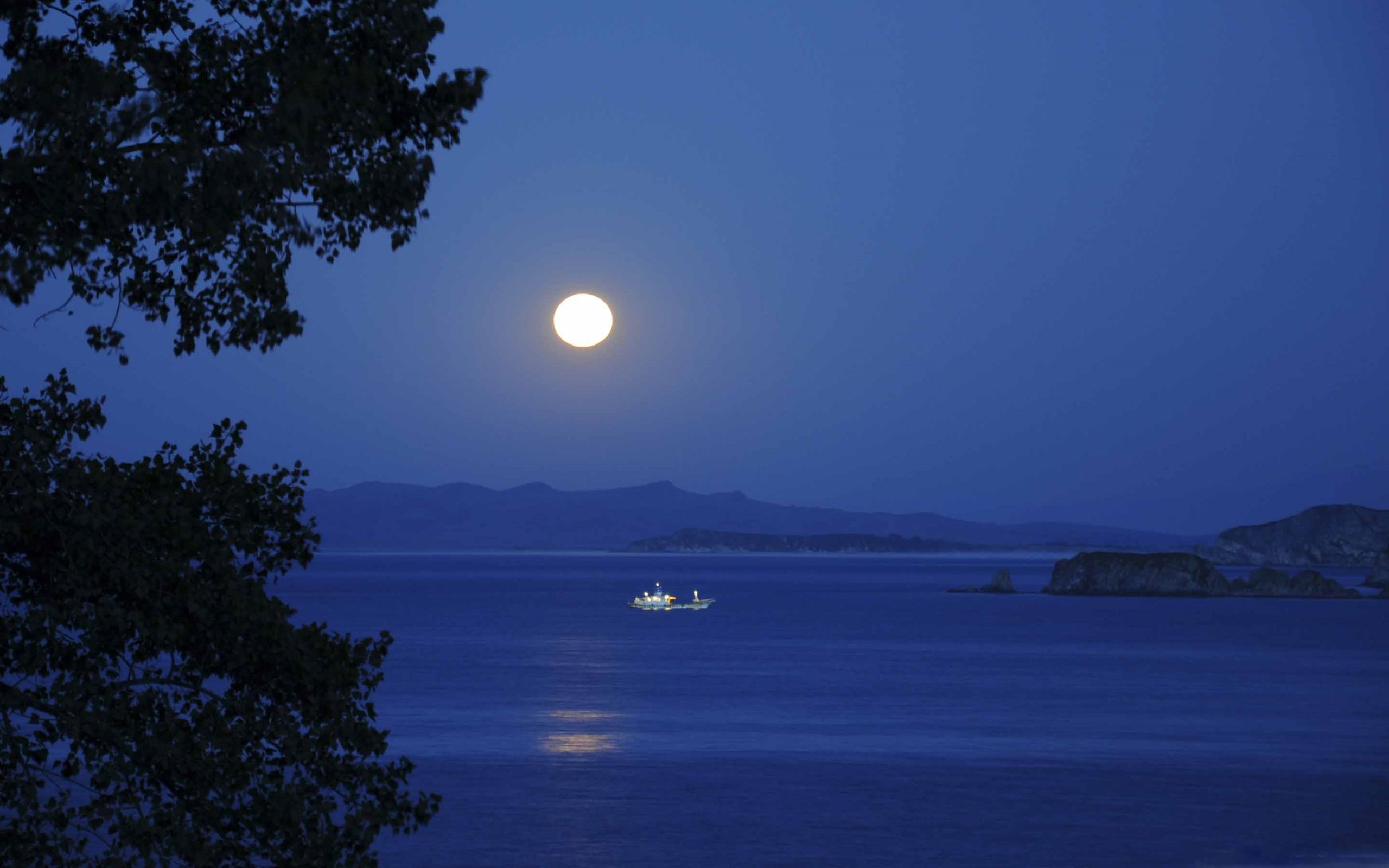 Full Moon Night Mac Wallpaper Download